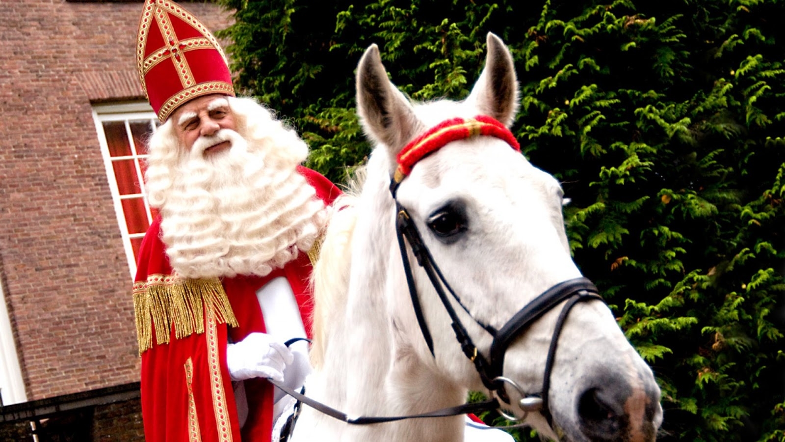 1600x900 HD Wallpaper: Sinterklaas op zijn witte paard, Desktop