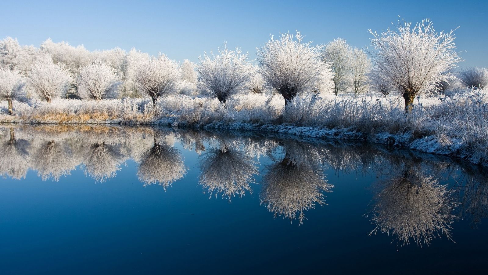 1600x900 Encyclopedia Natural Aesthetic Snow Wallpaper Trees Lake, Desktop