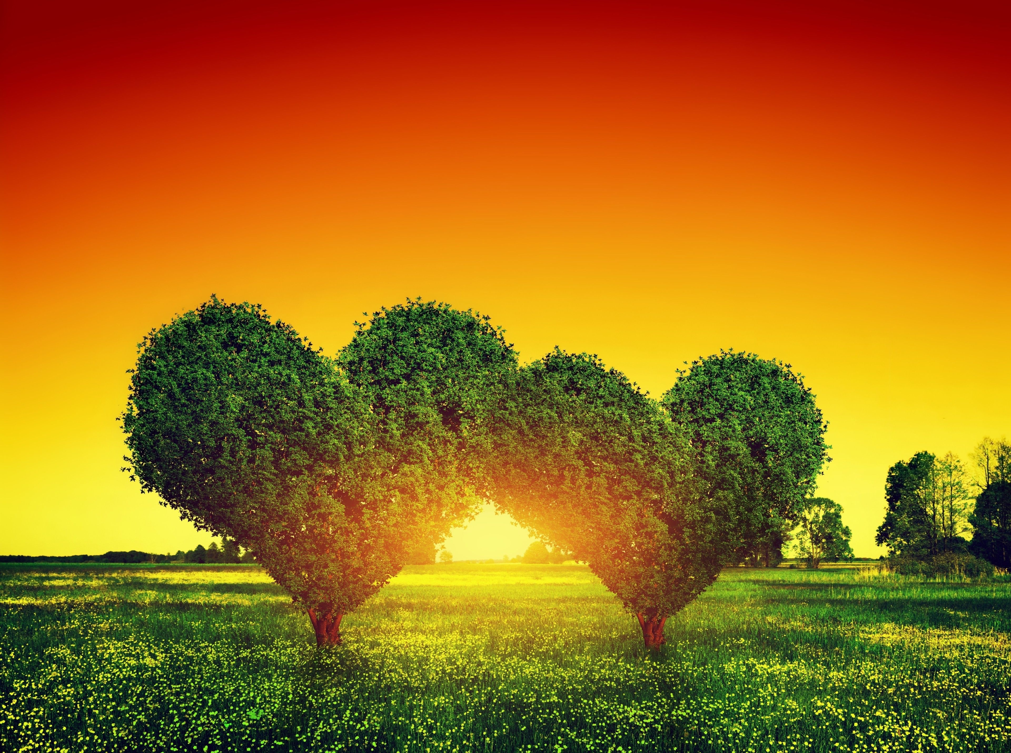 3840x2870 love image 4k wallpaper full screen HD wallpaper, Background, Desktop