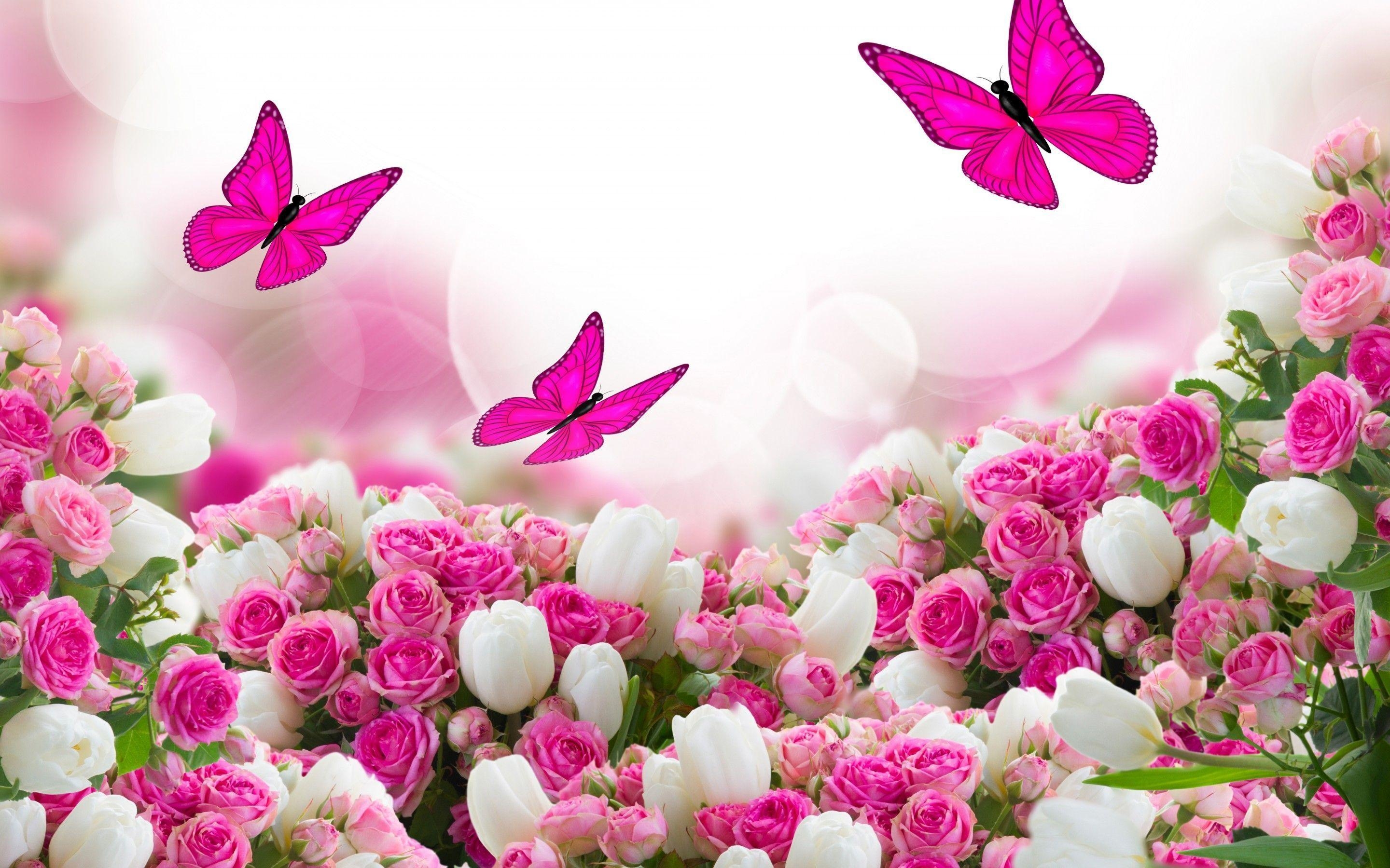 2880x1800 beautiful pink flowers wallpaper, Desktop