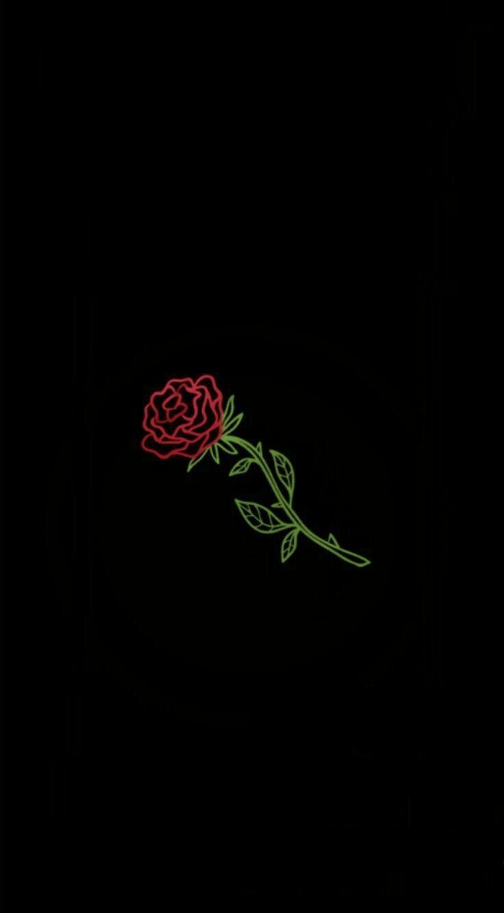 740x1340 Beautiful like a rose. moves me. Rose, Wallpaper, Phone