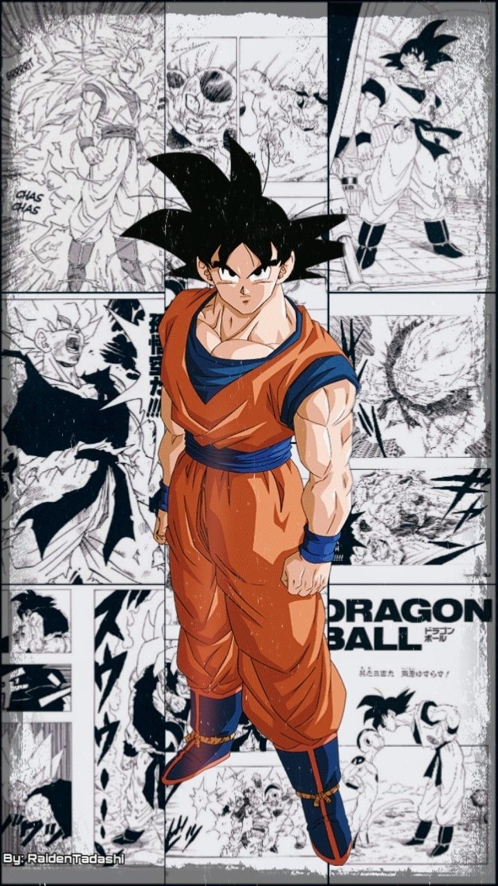 720x1280 Dragon Ball Manga Wallpaper Free Dragon Ball Manga Background, Phone
