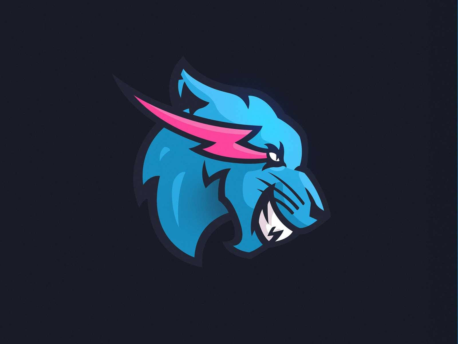 1600x1200 MrBeast Wallpaper Free HD Wallpaper, Desktop