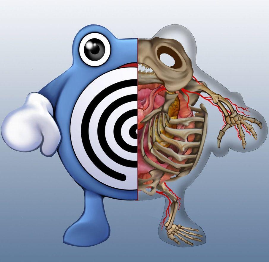 910x890 Poliwhirl Anatomy By Christopher Stoll, Desktop