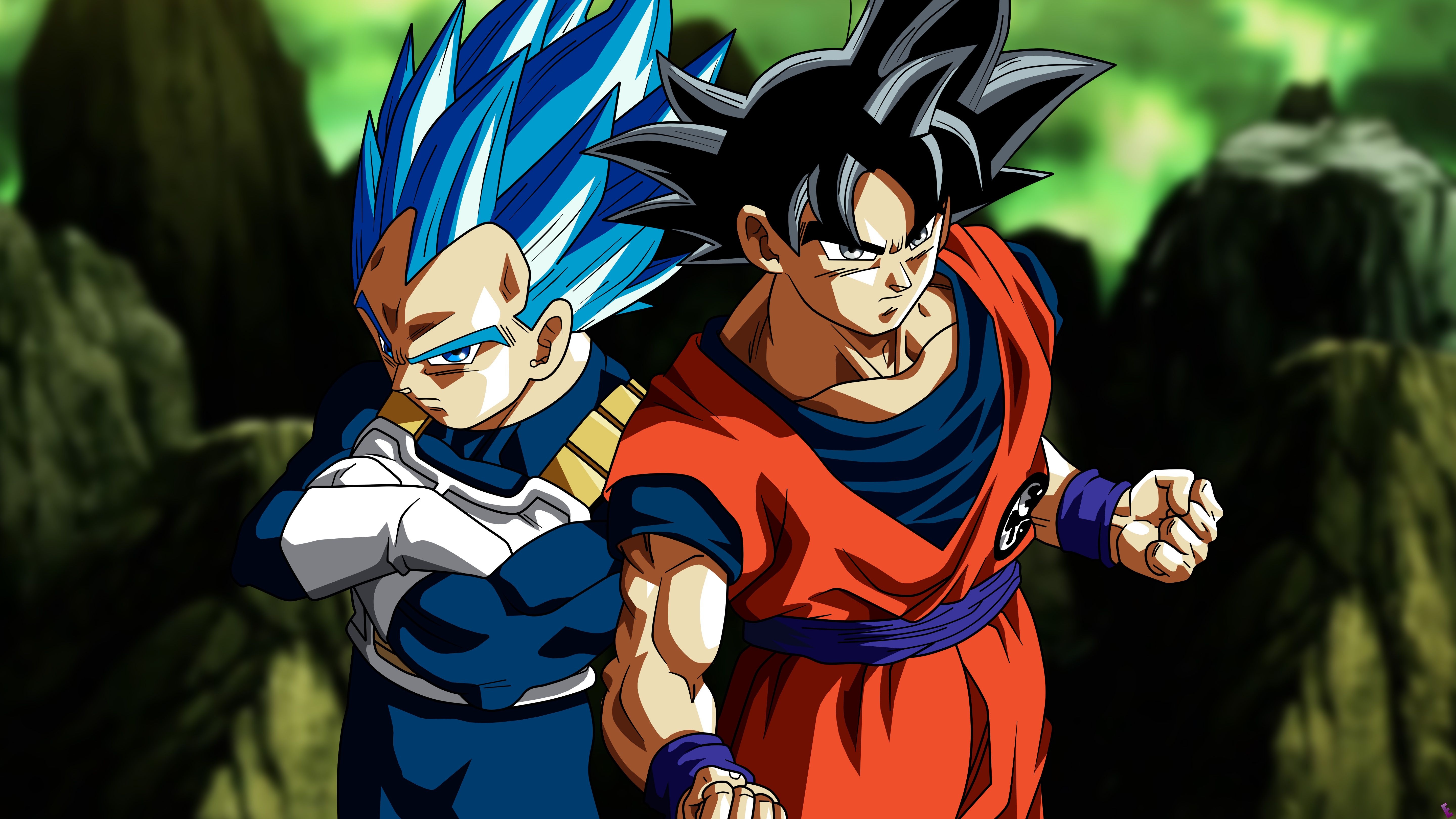 5760x3240 Goku And Vegeta Wallpaper 4k, Desktop