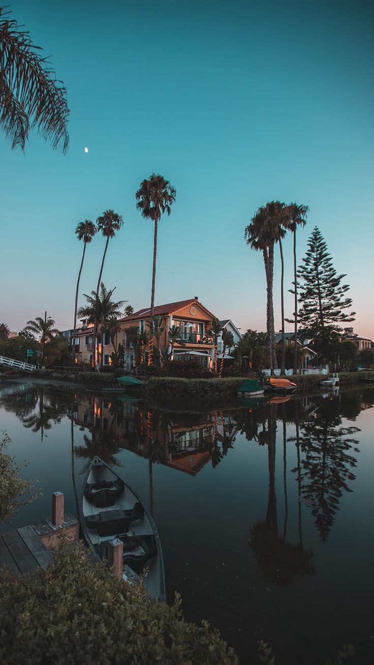 740x1310 Beautiful Los Angeles iPhone X Wallpaper, Phone