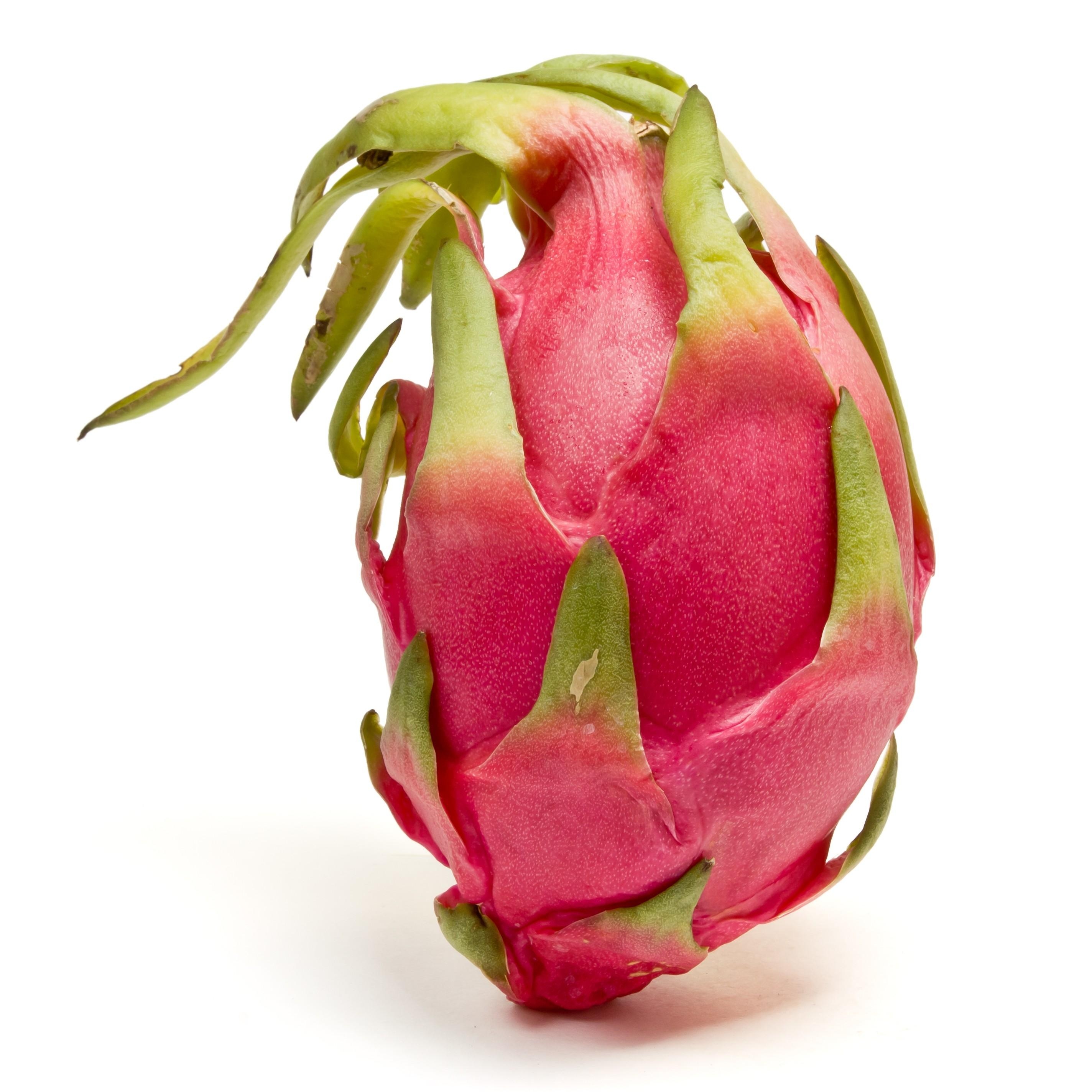 2850x2850 Any love for this HD photo of a Dragon Fruit?, Phone