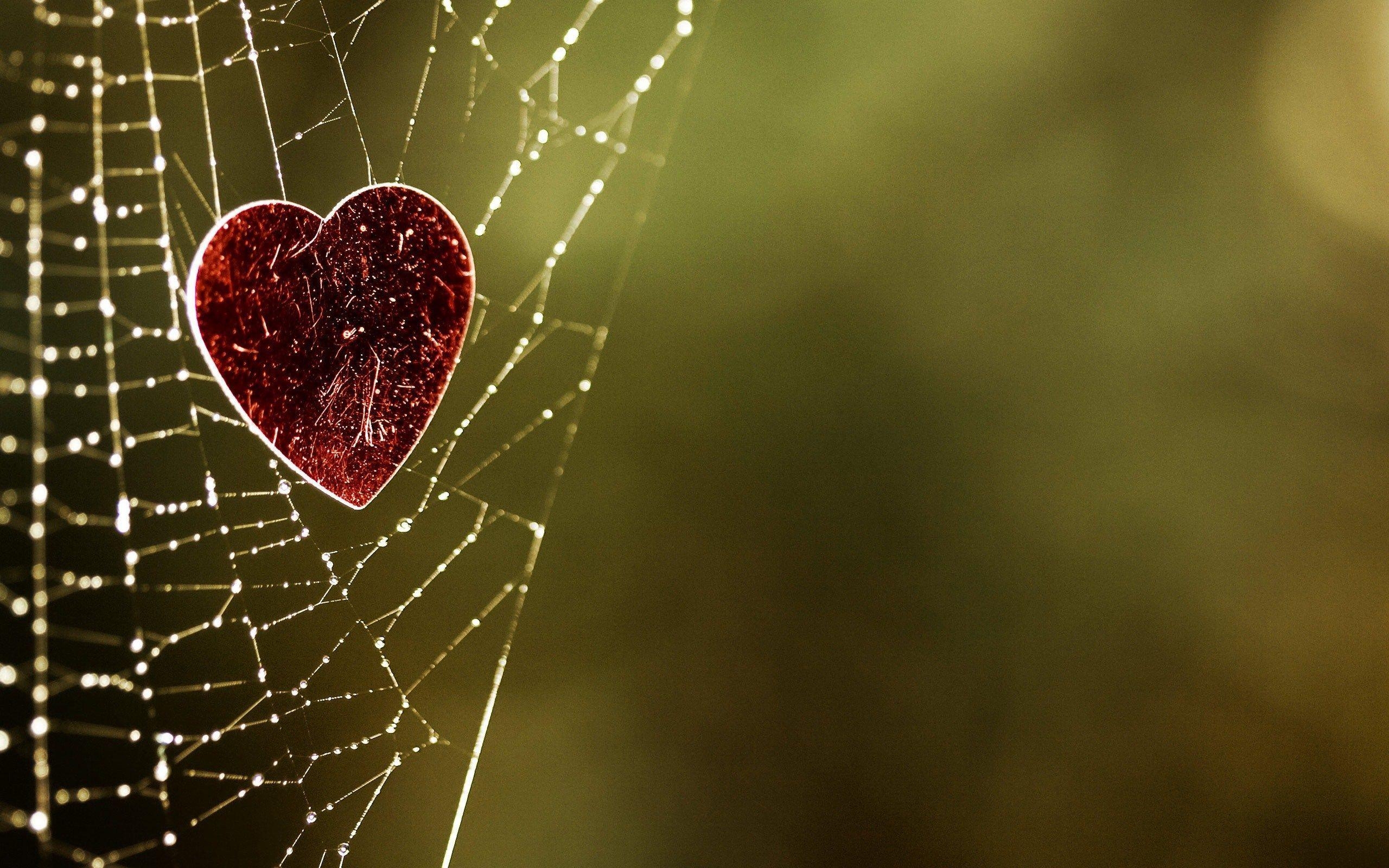 2560x1600 Glitter Red Heart Spider Web Christmas HD wallpaper #, Desktop