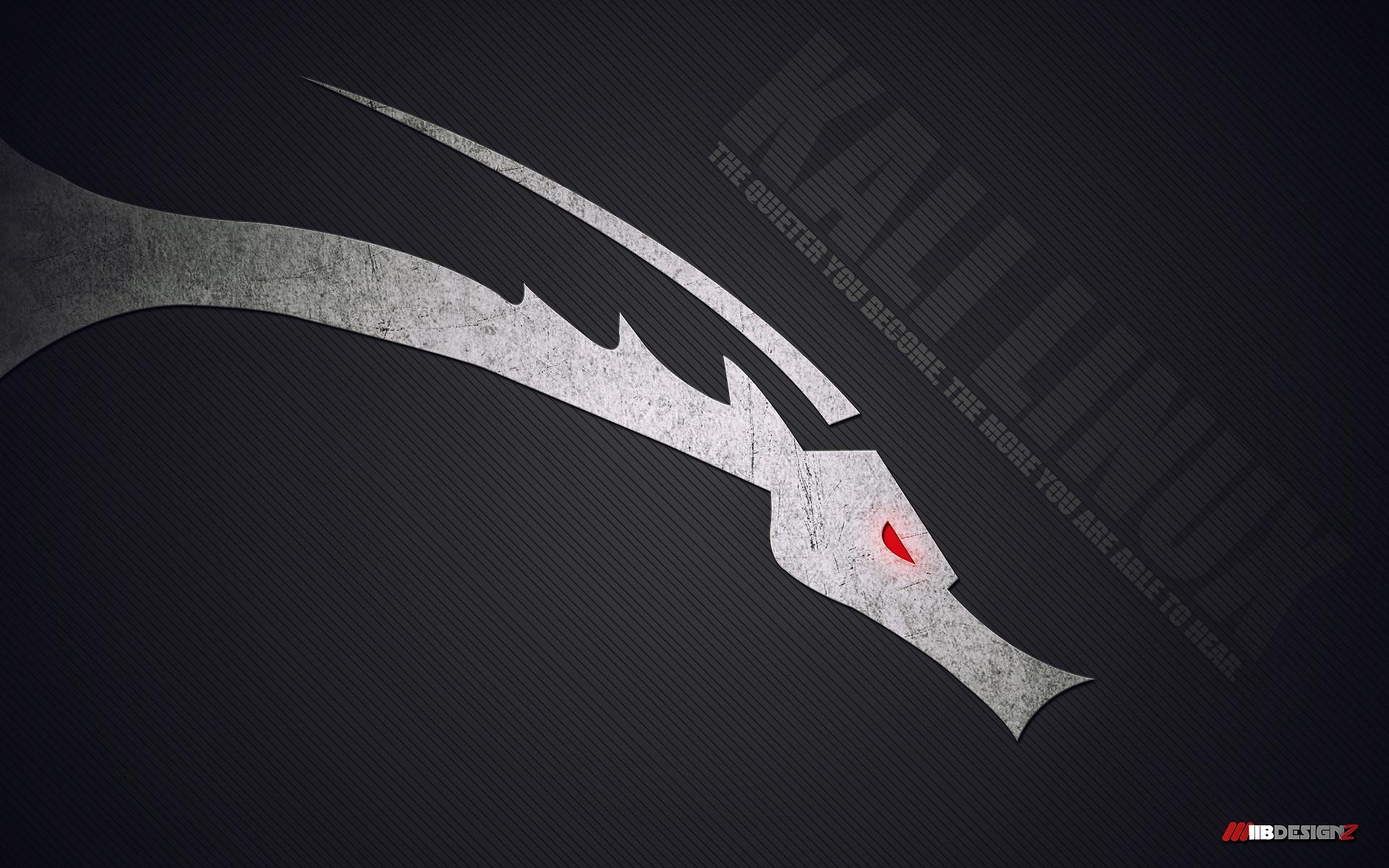 1920x1200 Kali Linux Wallpaper HD, Desktop