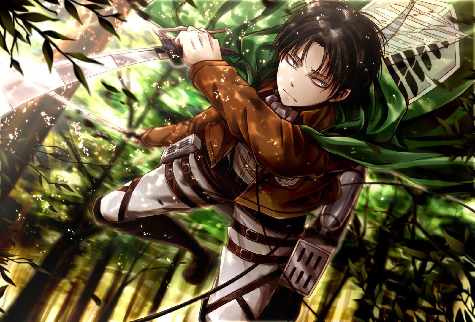 1600x1090 Attack on Titan HD Wallpaper and Background, Desktop