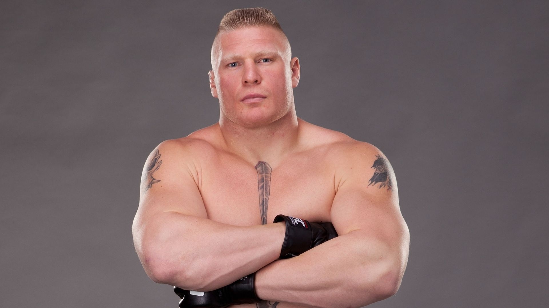 1920x1080 Brock Lesnar Wallpaper Best Brock Lesnar Background Download [ 35 + HD ], Desktop