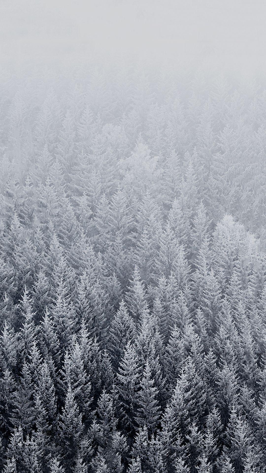 1080x1920 Winter Background for iPhone HD. iPhone wallpaper winter, Ios, Phone