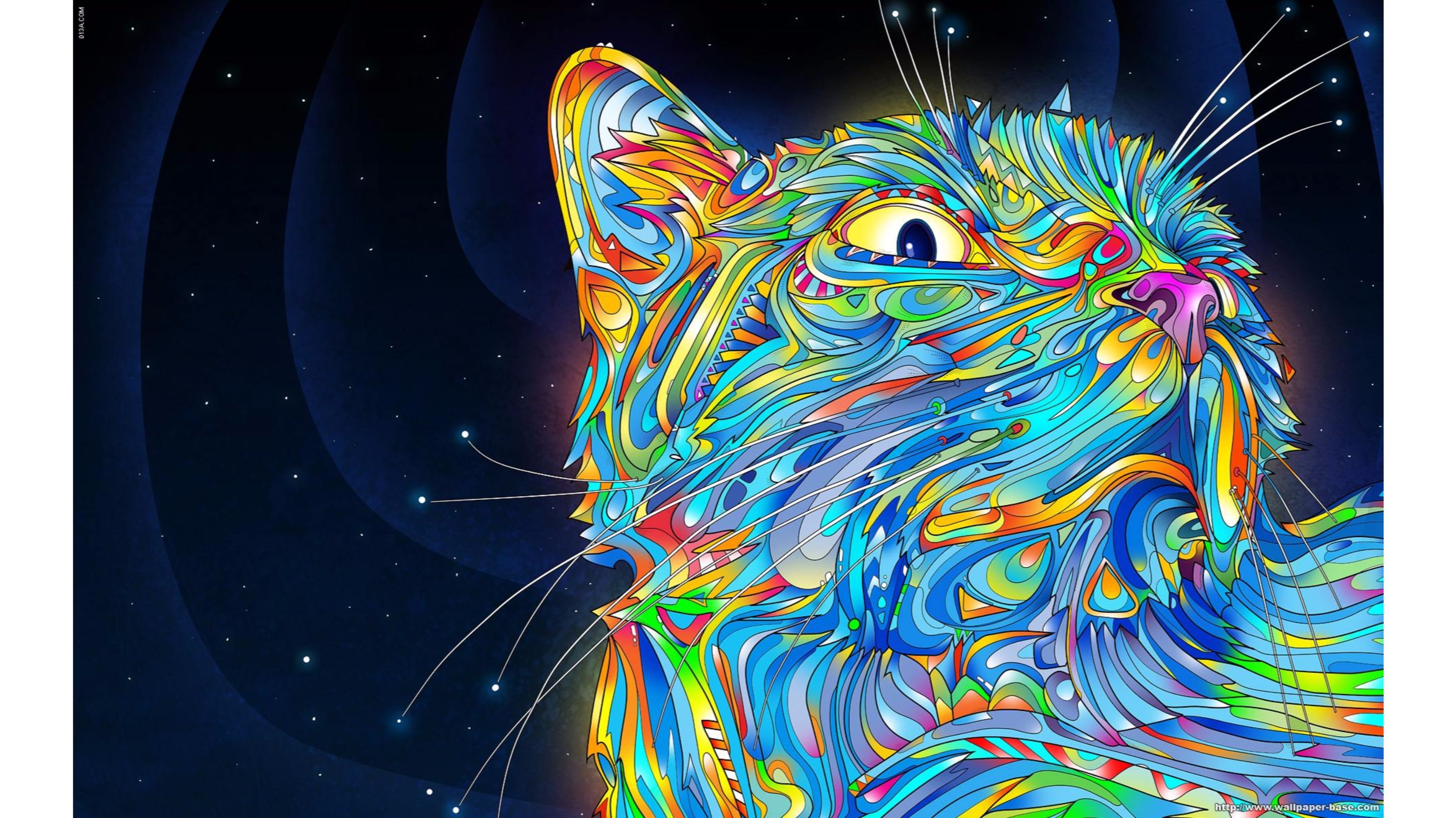 3840x2160 wallpaper abstract 4k wallpaper cool cat. HD Wallpaper, HD, Desktop