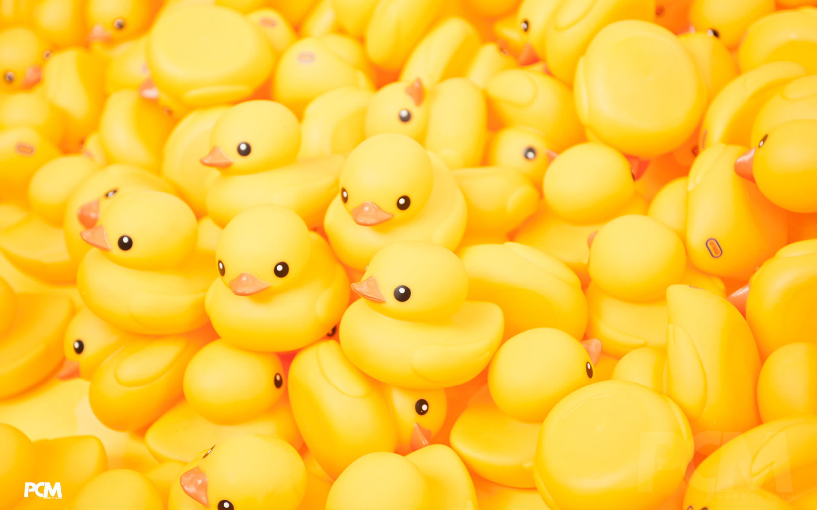 1680x1050 Cute Duck Computer Wallpaper, Desktop