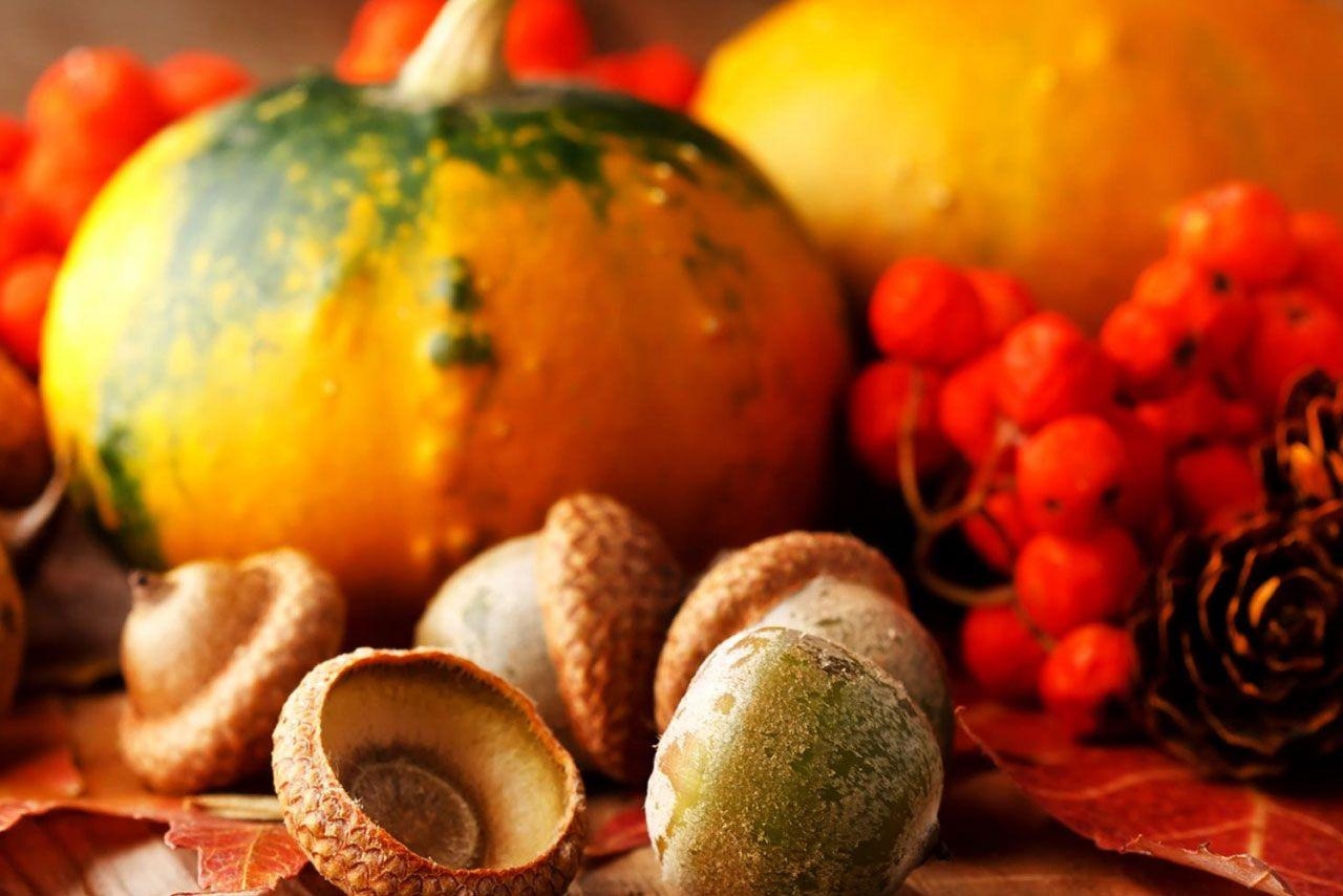 1280x860 Best Thanksgiving Wallpaper and Background, Desktop