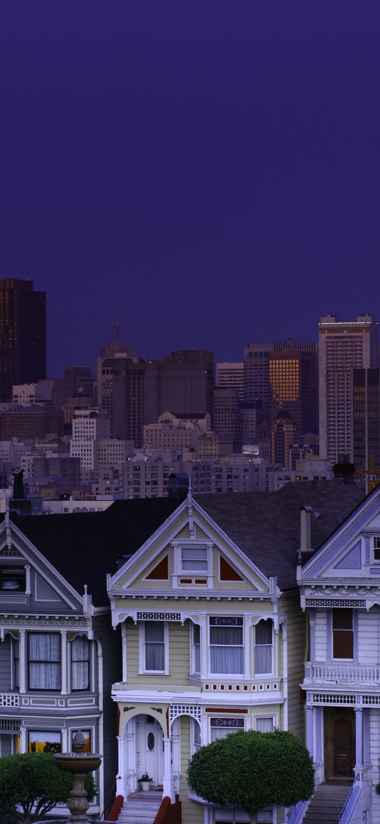 1250x2690 iPhone Wallpaper San Francisco, Usa, City, Night, Houses, Phone