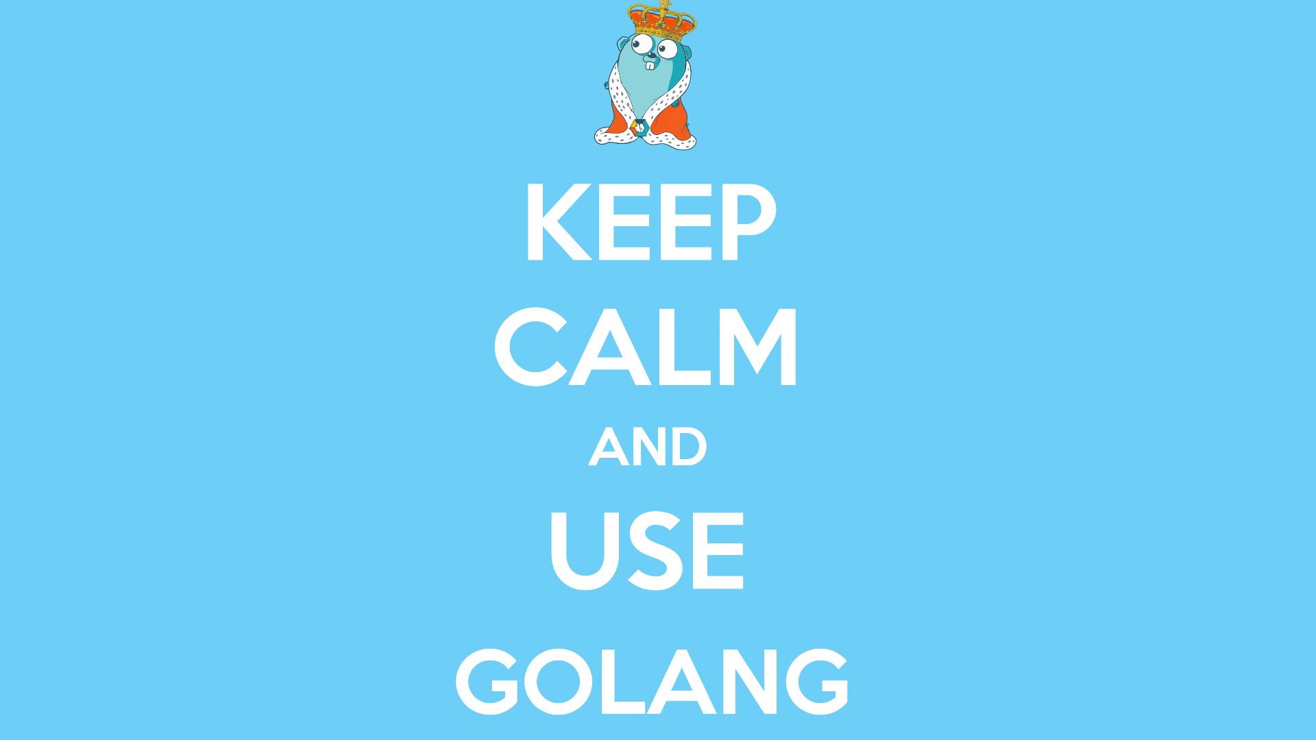 1920x1080 WALLPAPER GoLang, Desktop