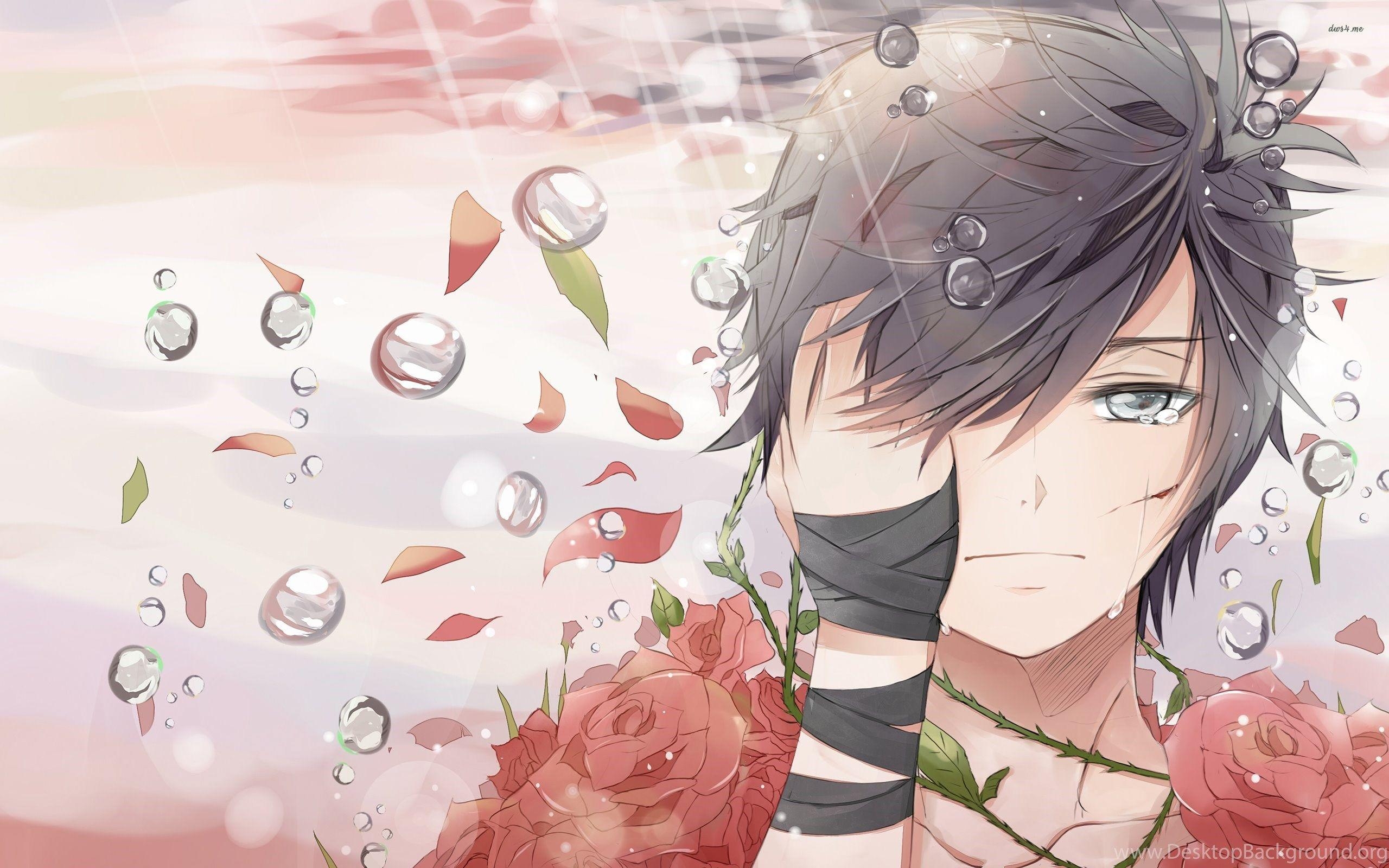 2560x1600 Sad Boy Covered In Roses Wallpaper Anime Wallpaper Desktop Background, Desktop