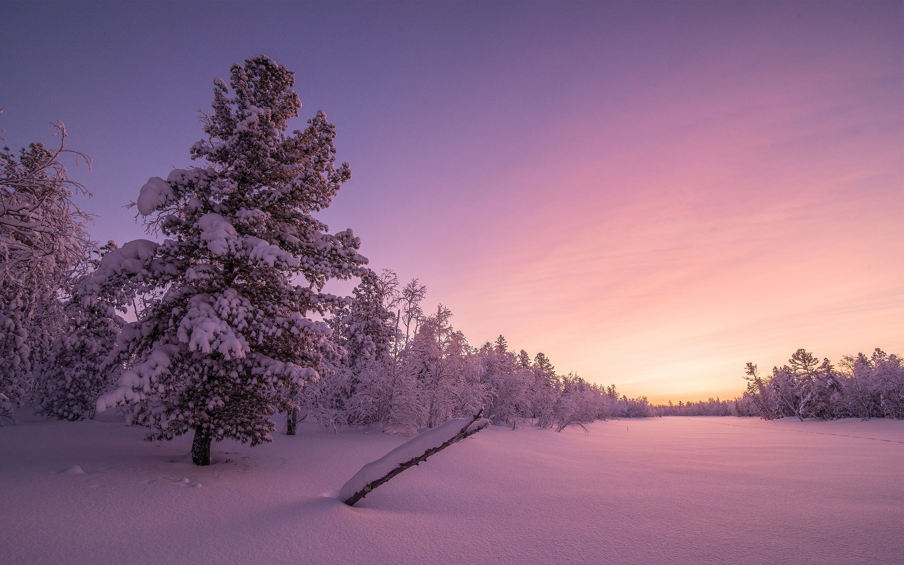 2880x1800 Pink Winter Wallpaper, Desktop