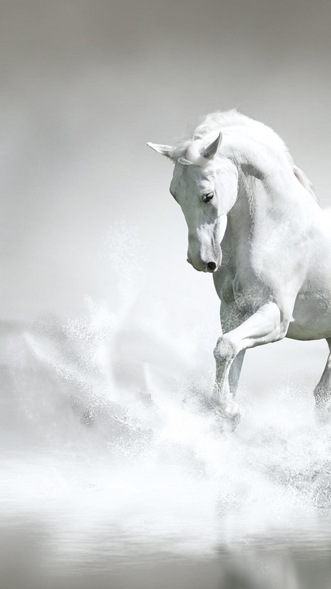 1080x1920 Water running white horse wallpaper, Phone