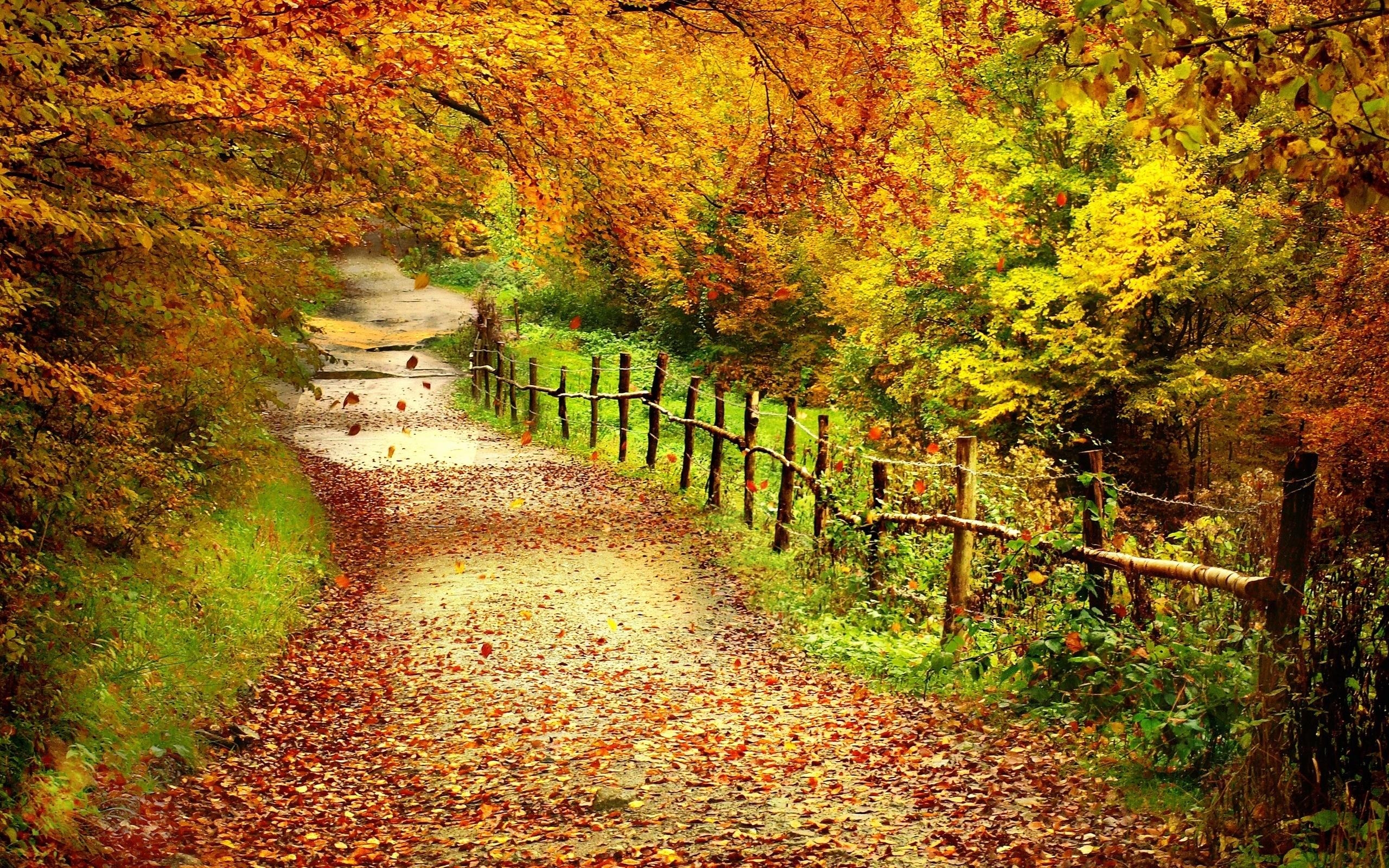 2560x1600 Fresh Herbst Wallpaper HD Of the Day, Desktop