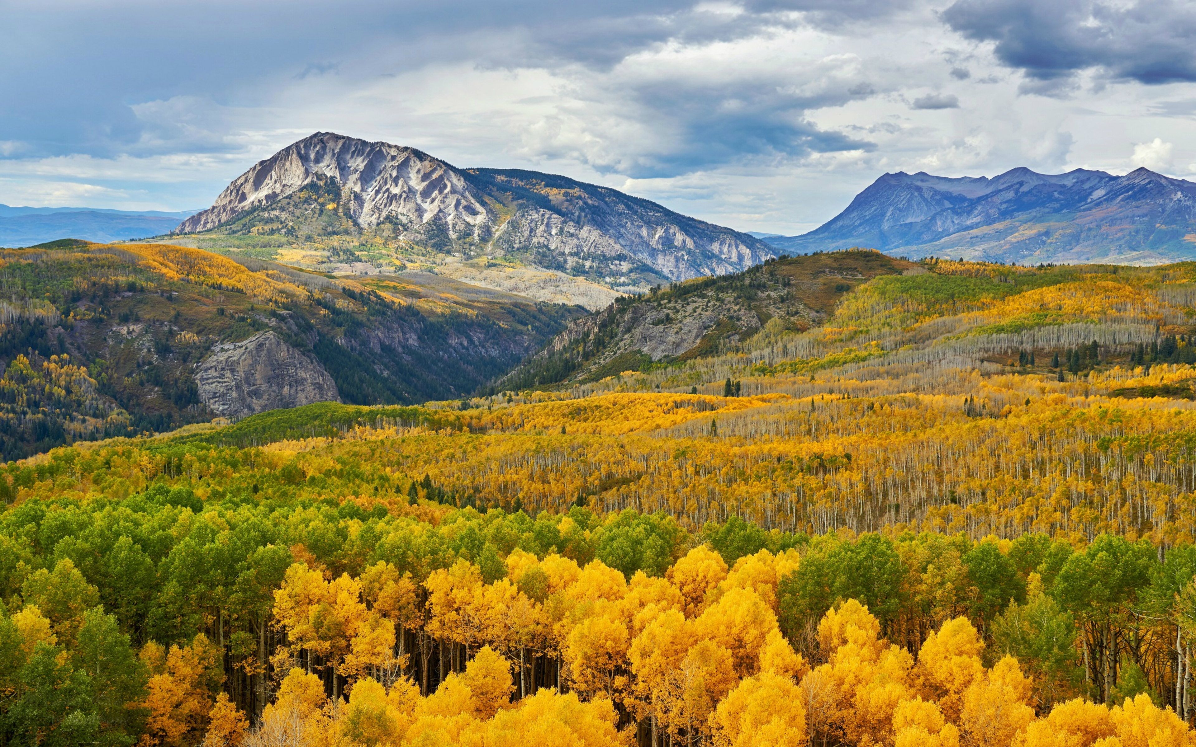 3840x2400 Aspens Trees Forest In Kebler Pass Colorado United States Of America 4k Ultra HD Wallpaper For Desktop Laptop Tablet Mobile Phones And Tv, Wallpaper13.com, Desktop