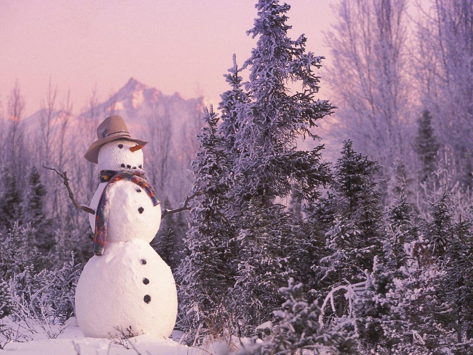 1600x1200 Snowman Winter Desktop, Winter Wallpaper, HD phone wallpaper, Desktop