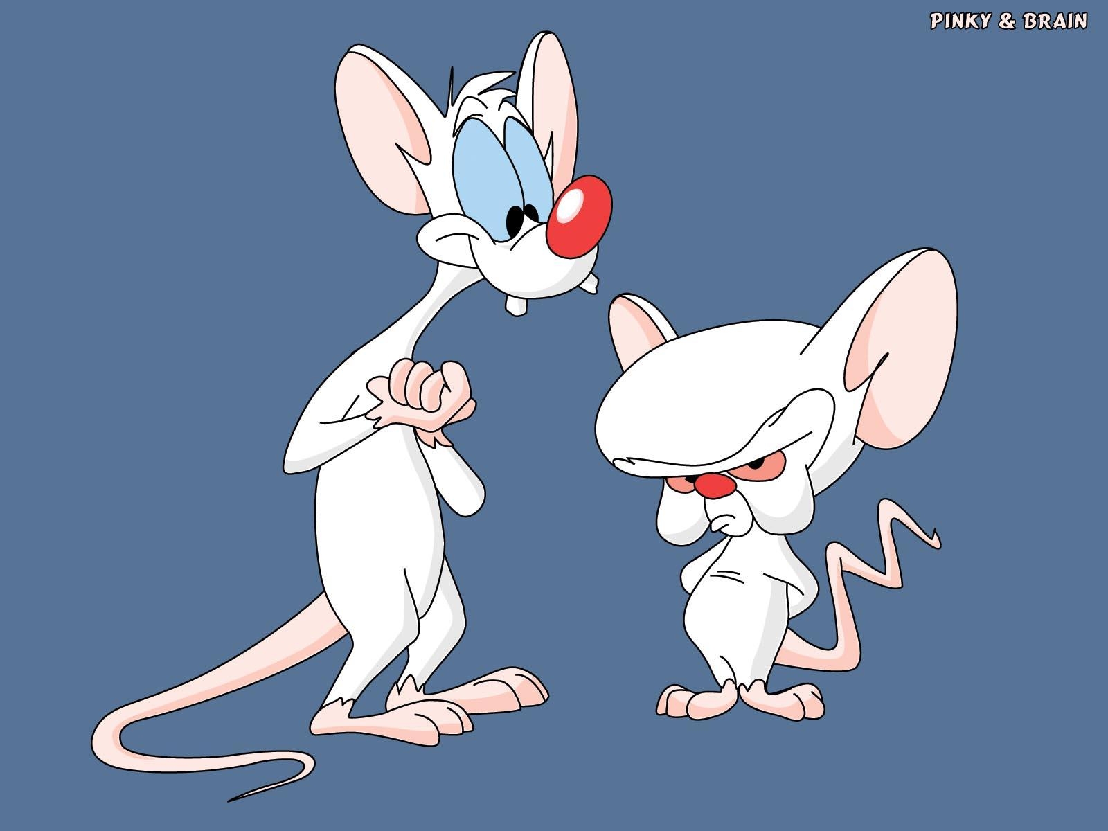 1600x1200 Pinky and the Brain, Desktop