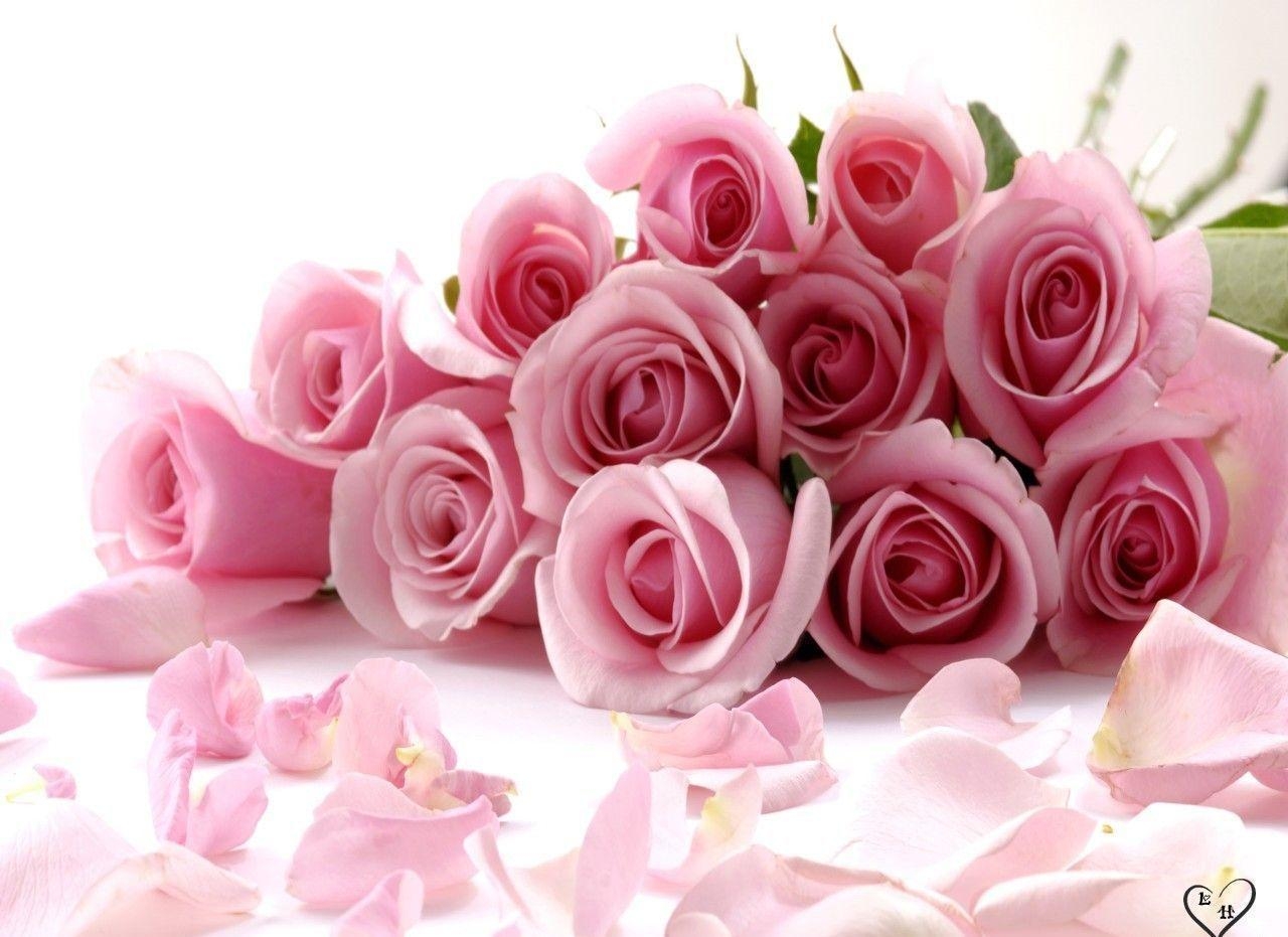 1280x940 Pink Roses Wallpaper. Flowers Picture. Flowers Wallpaper, Desktop