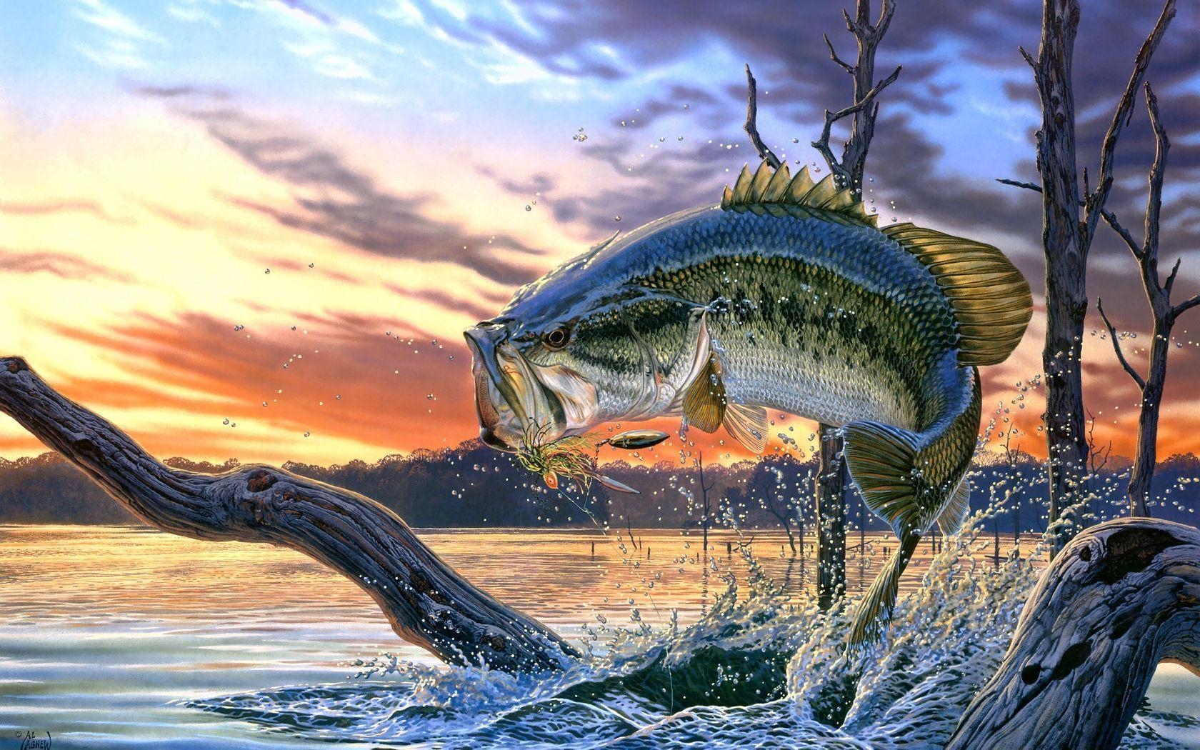 1680x1050 Hunting and Fishing Wallpaper Free Hunting and Fishing Background, Desktop