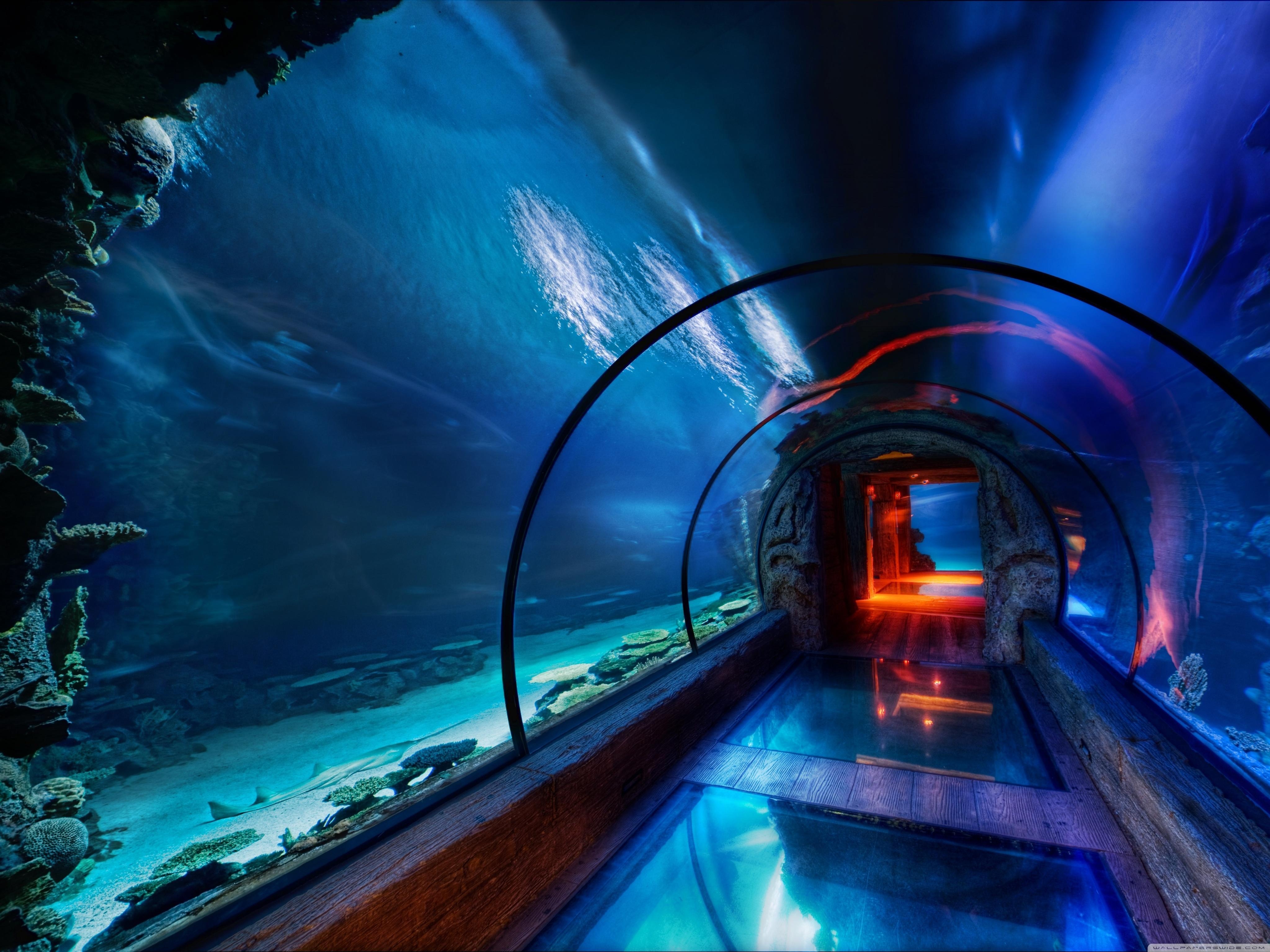 4100x3080 Underwater_passage_las_vegas Wallpaper 4096×3072, Desktop