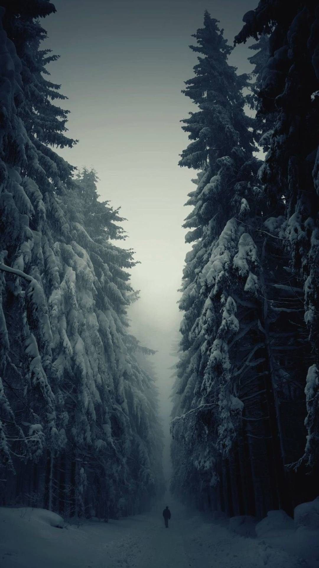 1080x1920 Snow Forest Lonely Walk IPhone Wallpaper Wallpaper, iPhone Wallpaper, Phone