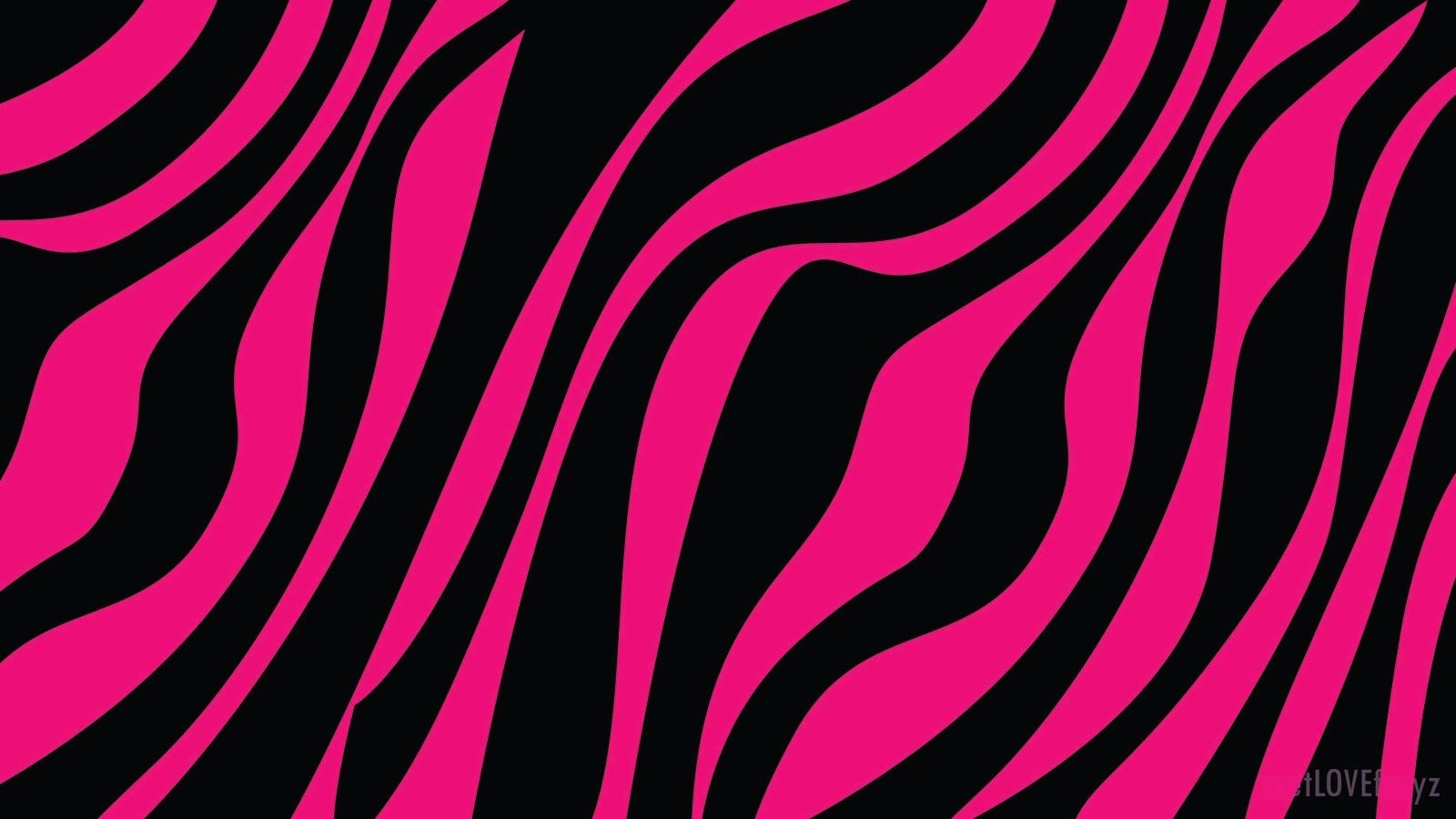 1600x900 Pink and Black Zebra Wallpaper Free Pink and Black Zebra Background, Desktop