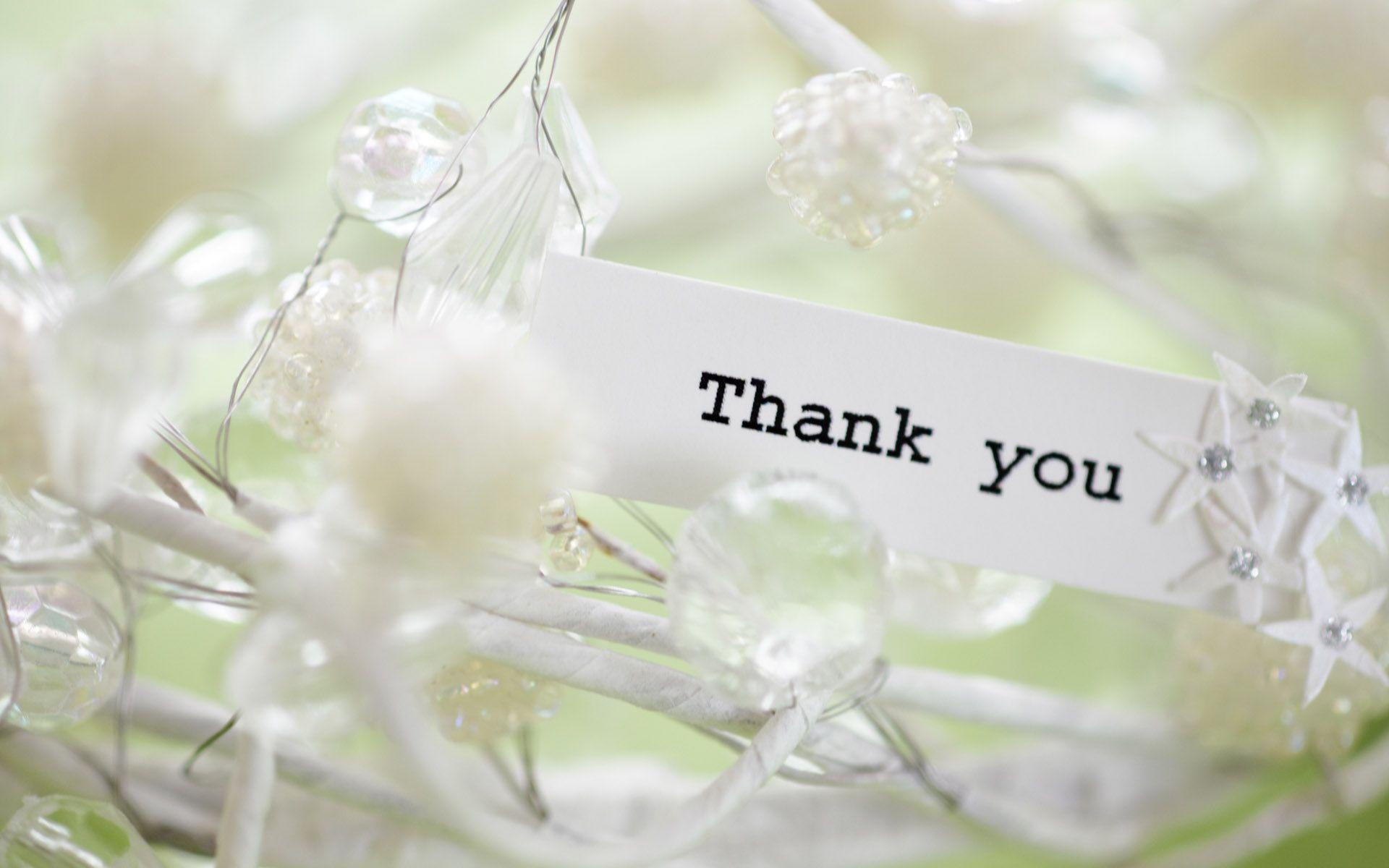 1920x1200 Thank You Wallpaper Free Download, Desktop