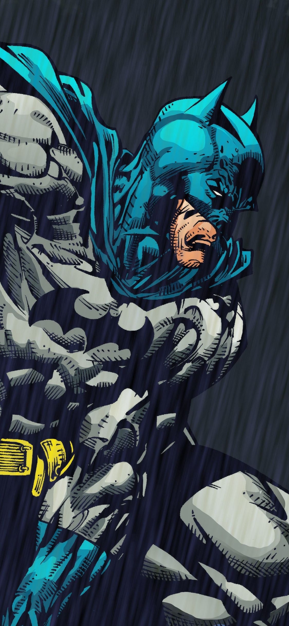 1130x2440 Batman, Comics, Superhero, Wallpaper iPhone Wallpaper 4k, Phone