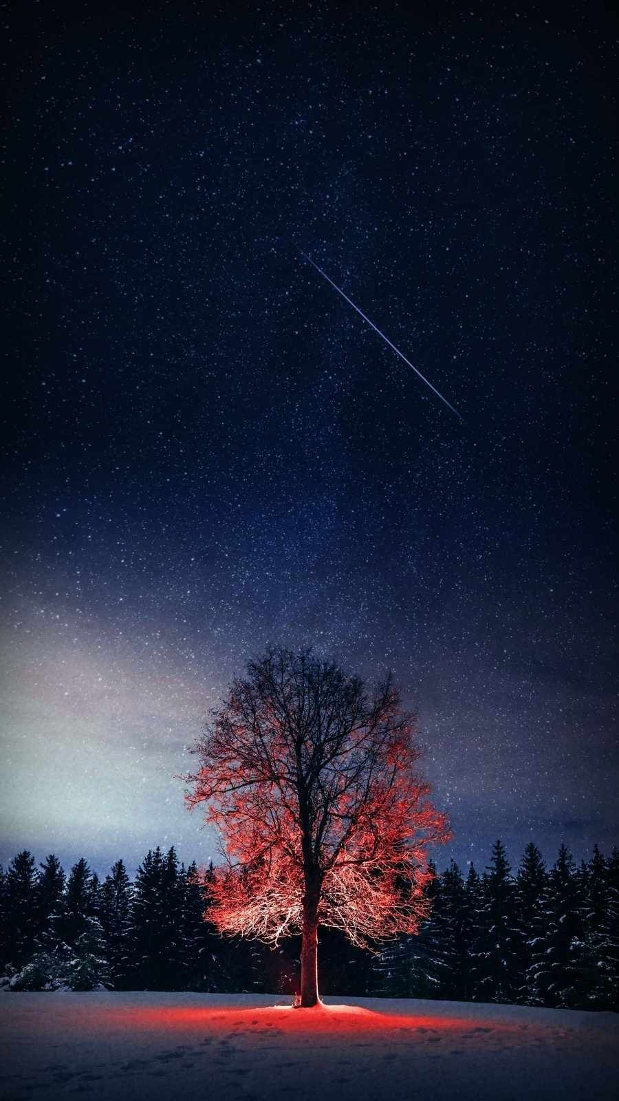 900x1600 Night Tree Starry Sky Wallpaper 4K of Wallpaper for Andriod, Phone