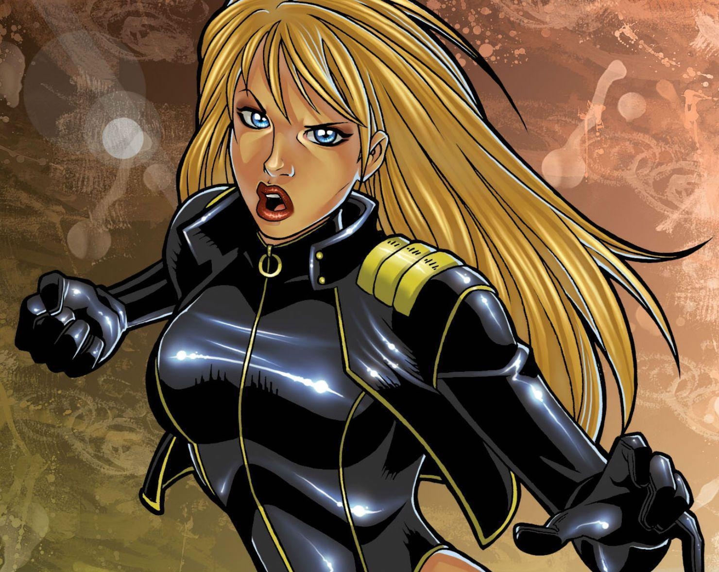 1480x1180 Black Canary Dc Comics D C Superhero Girl Black Canary Hc HD, Desktop