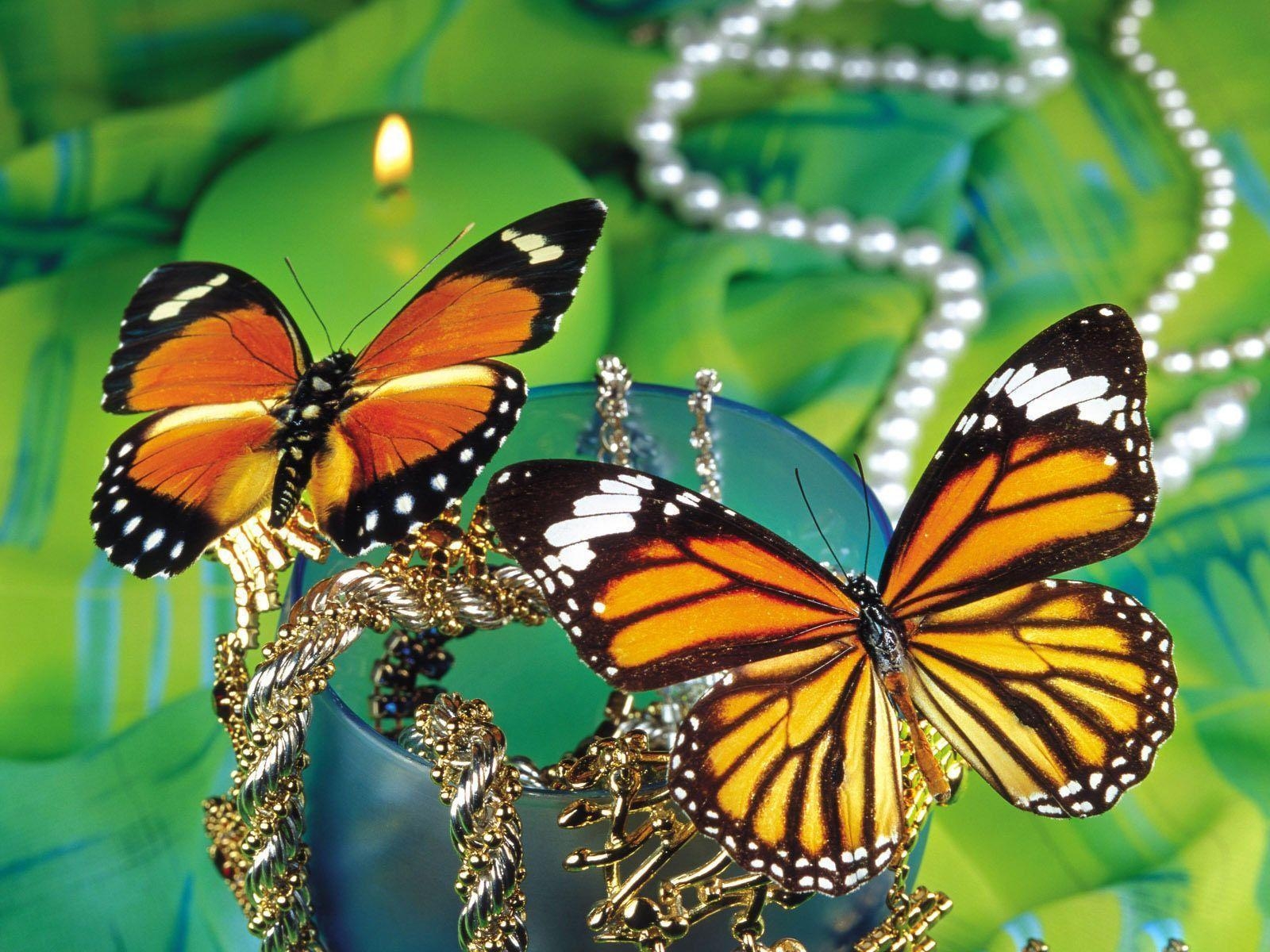 1600x1200 Desktop Wallpaper · Gallery · Windows 7 · Beautiful Butterflies, Desktop