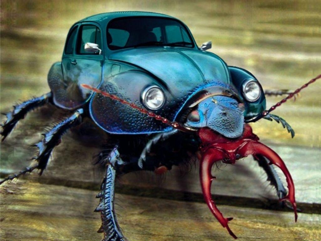 1030x770 Beetle Bug Wallpaper. Beetle bug, Photohopped animals, Beetle, Desktop