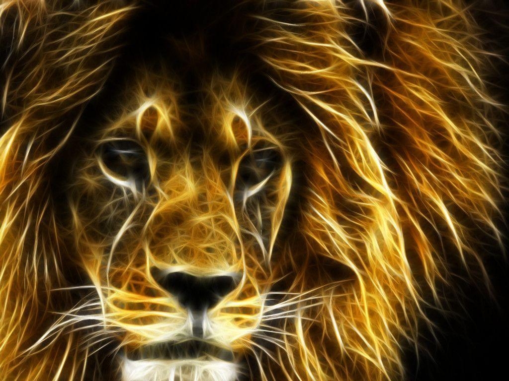 1030x770 Undomesticated Lion Wallpaper, Desktop