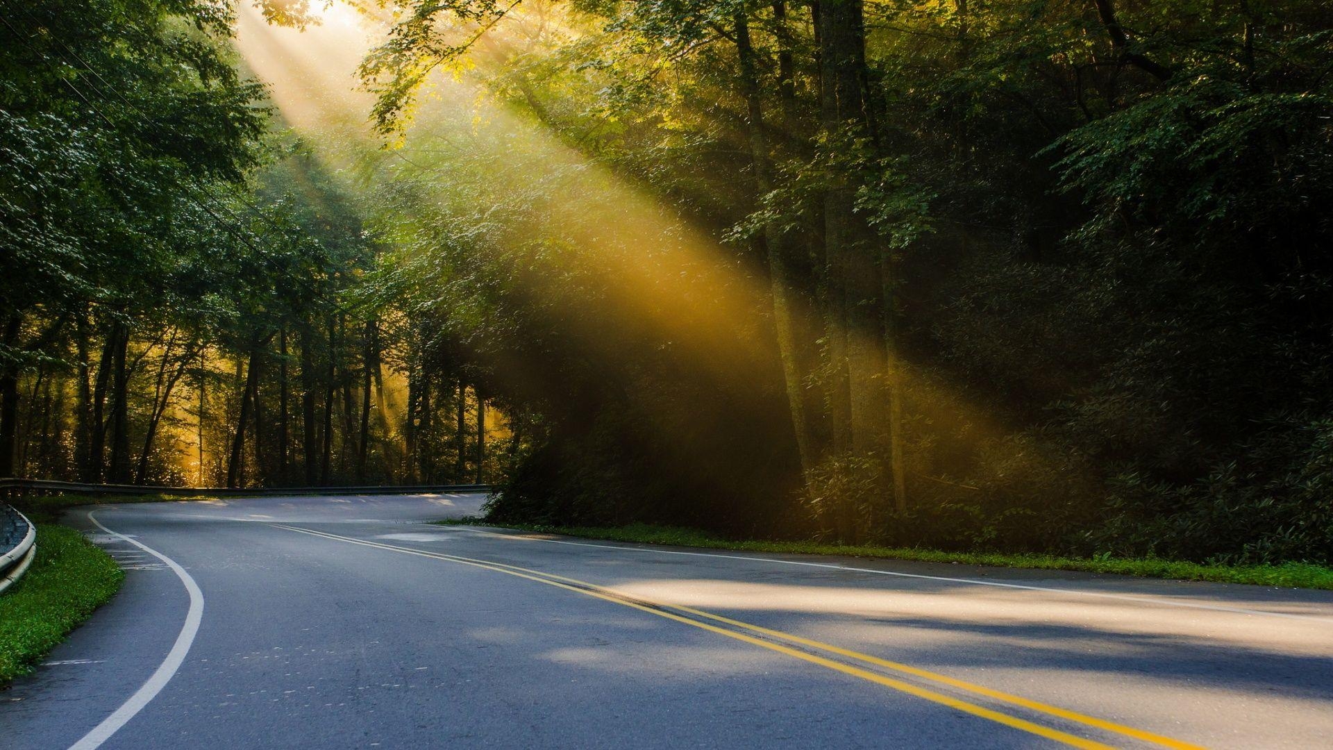 1920x1080 Sunshine Forest Road Hd Wallpaper 582186 Ridge Parkway Entrances, Desktop