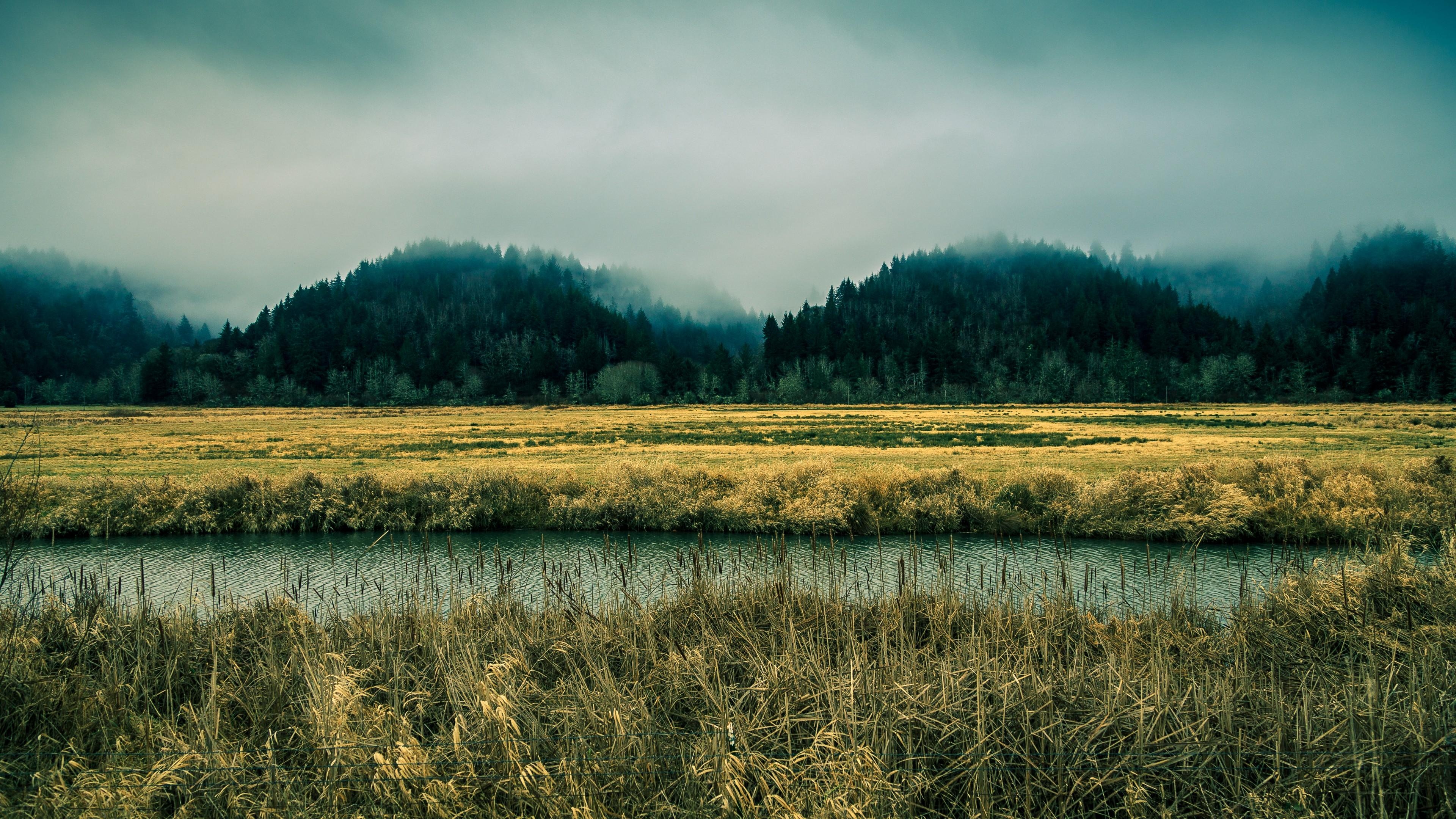 3840x2160 Wallpaper Oregon, 5k, 4k wallpaper, 8k, sky, river, fog, forest, Desktop