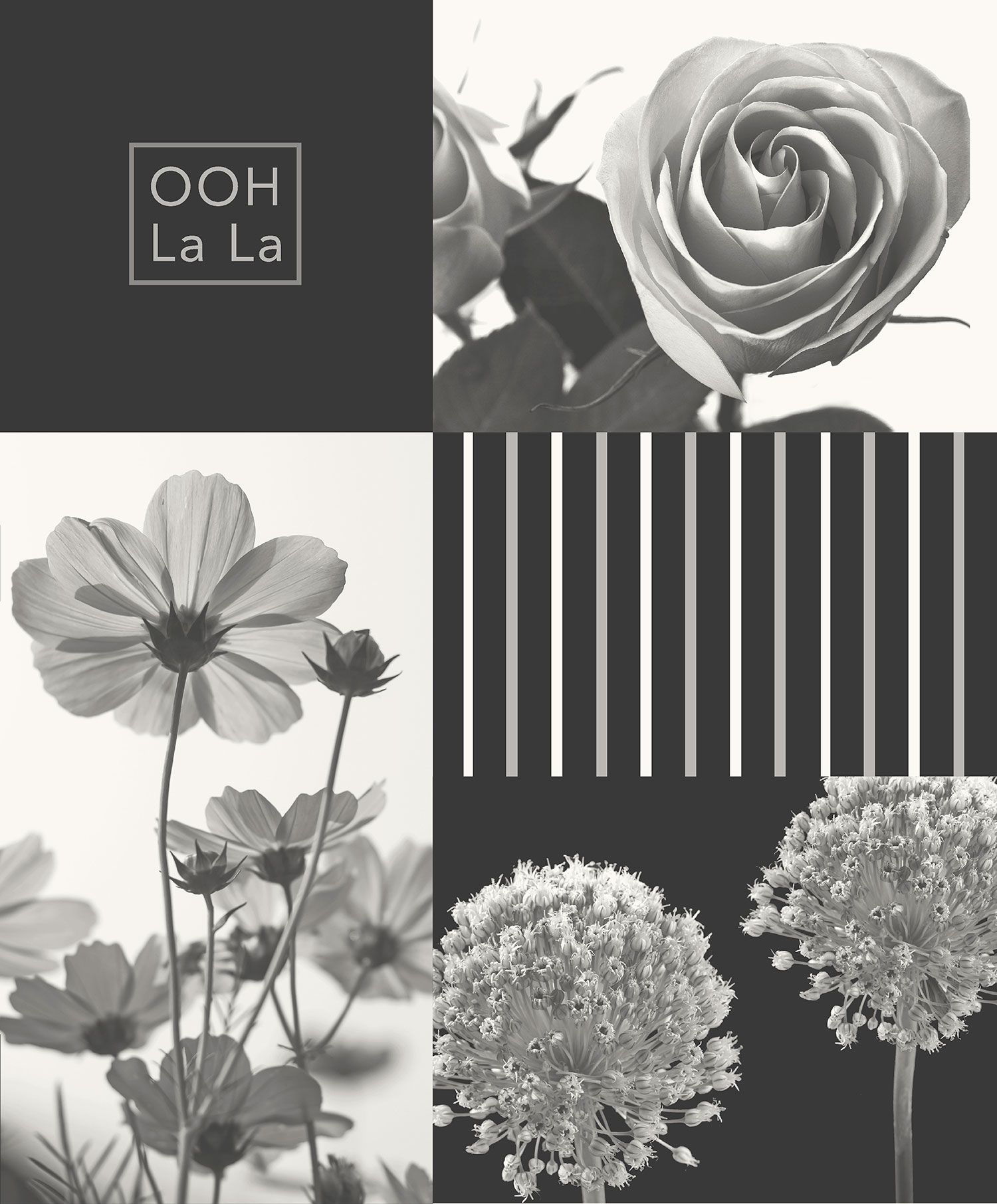 1500x1820 Wallpaper Coco By Crown Collage Photo Flower Floral Roses Black, Phone