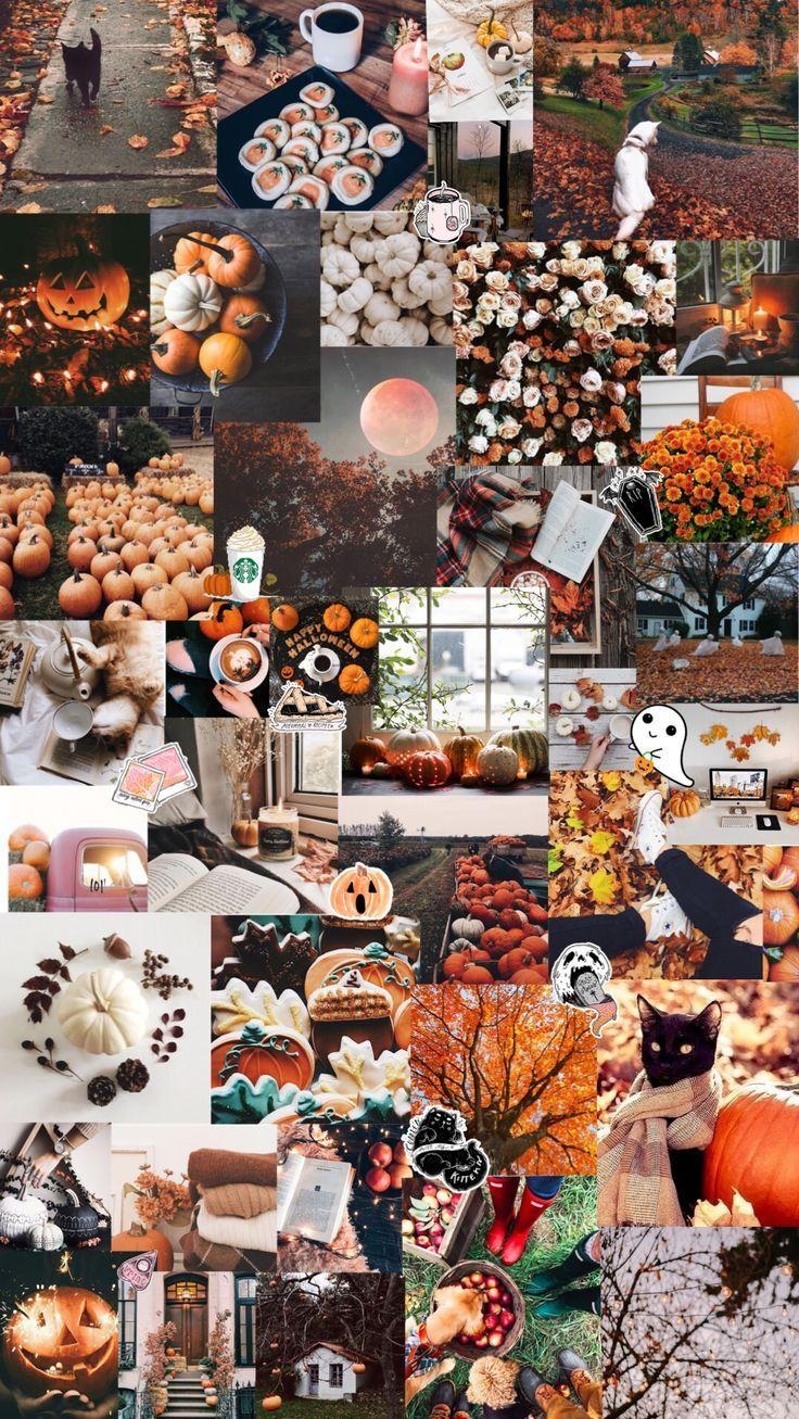 740x1310 Herbst / Halloween ästhetischer Hintergrund #asthetischer, Phone