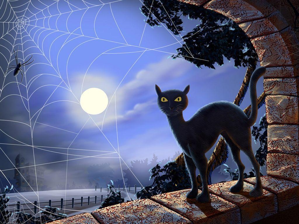 1030x770 HD Wallpaper:  Halloween halloween black cat HD, Desktop