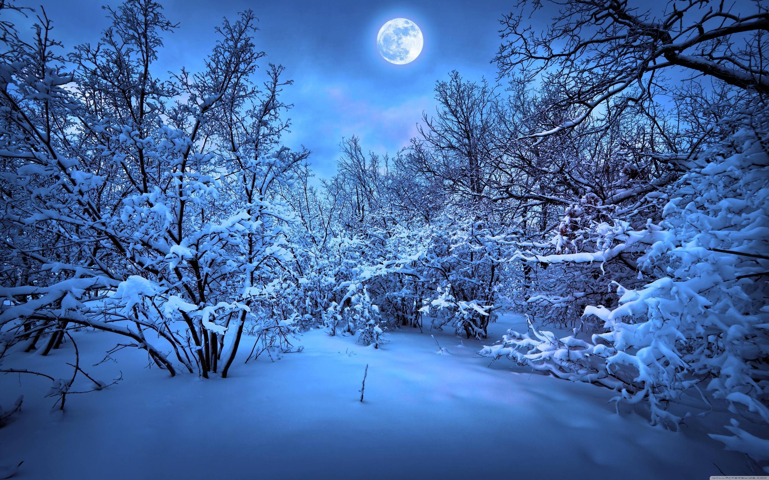 2560x1600 Moonbeam Wallpaper Collections. SpotIMG HD wallpaper ››, Desktop