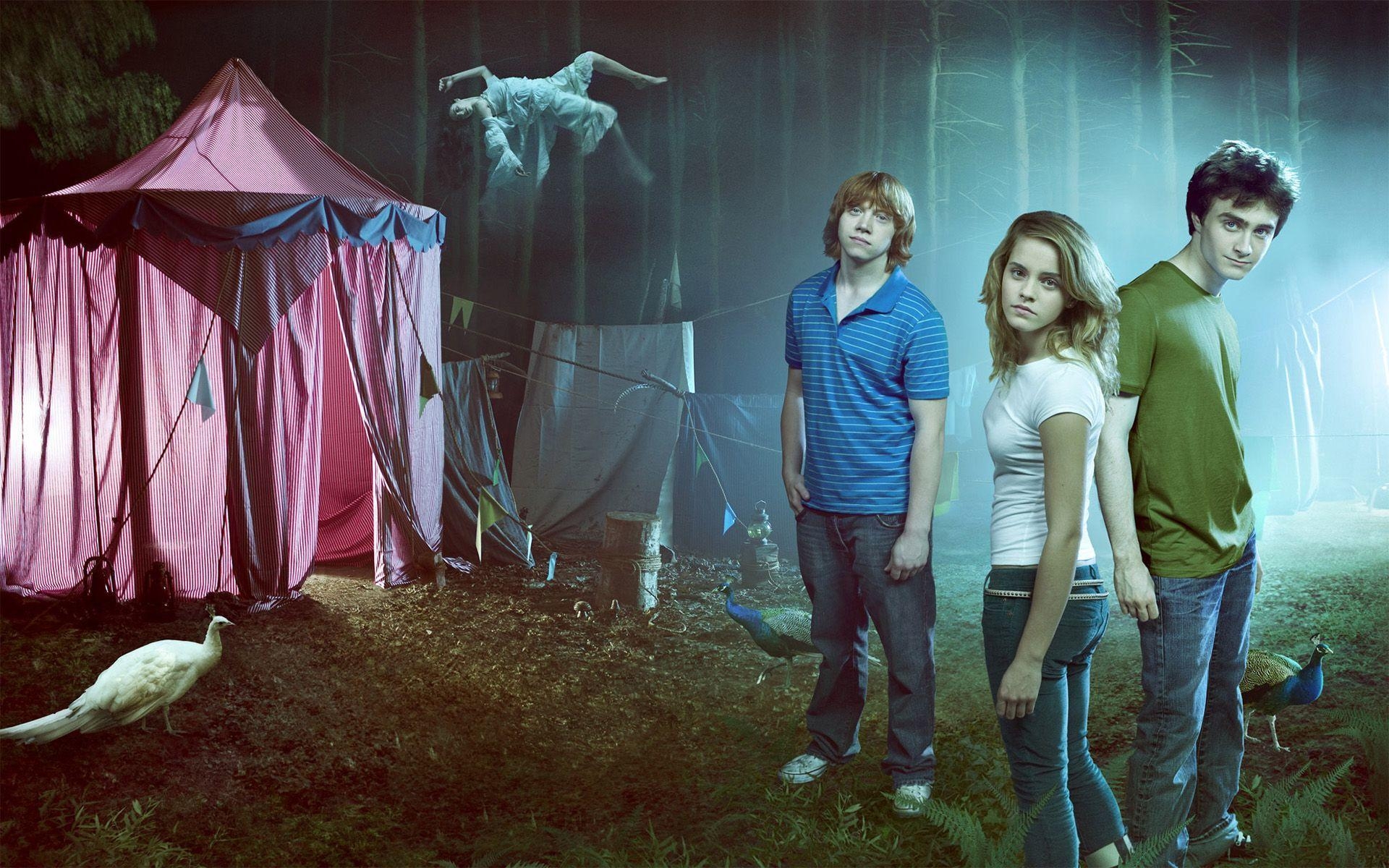 1920x1200 Harry Potter, Tents, Hermione Granger, Ron Weasley, Peacocks, Desktop