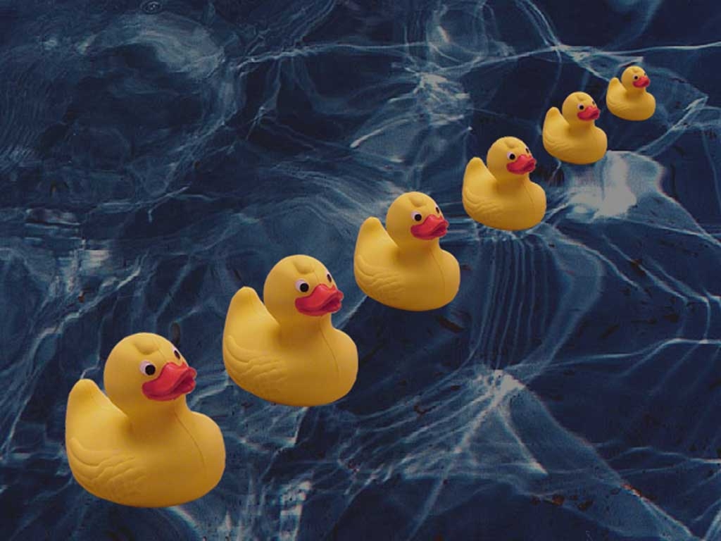 1030x770 image For > Rubber Duck Background, Desktop