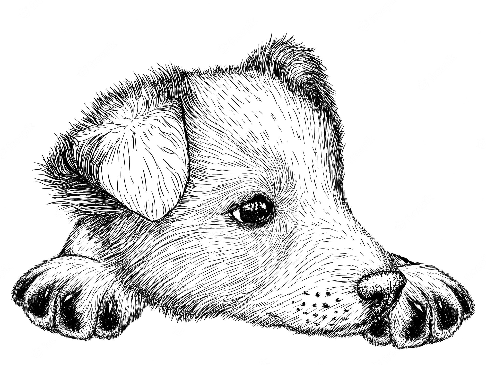 2000x1500 Premium Vector. Graphic linear puppy, Desktop