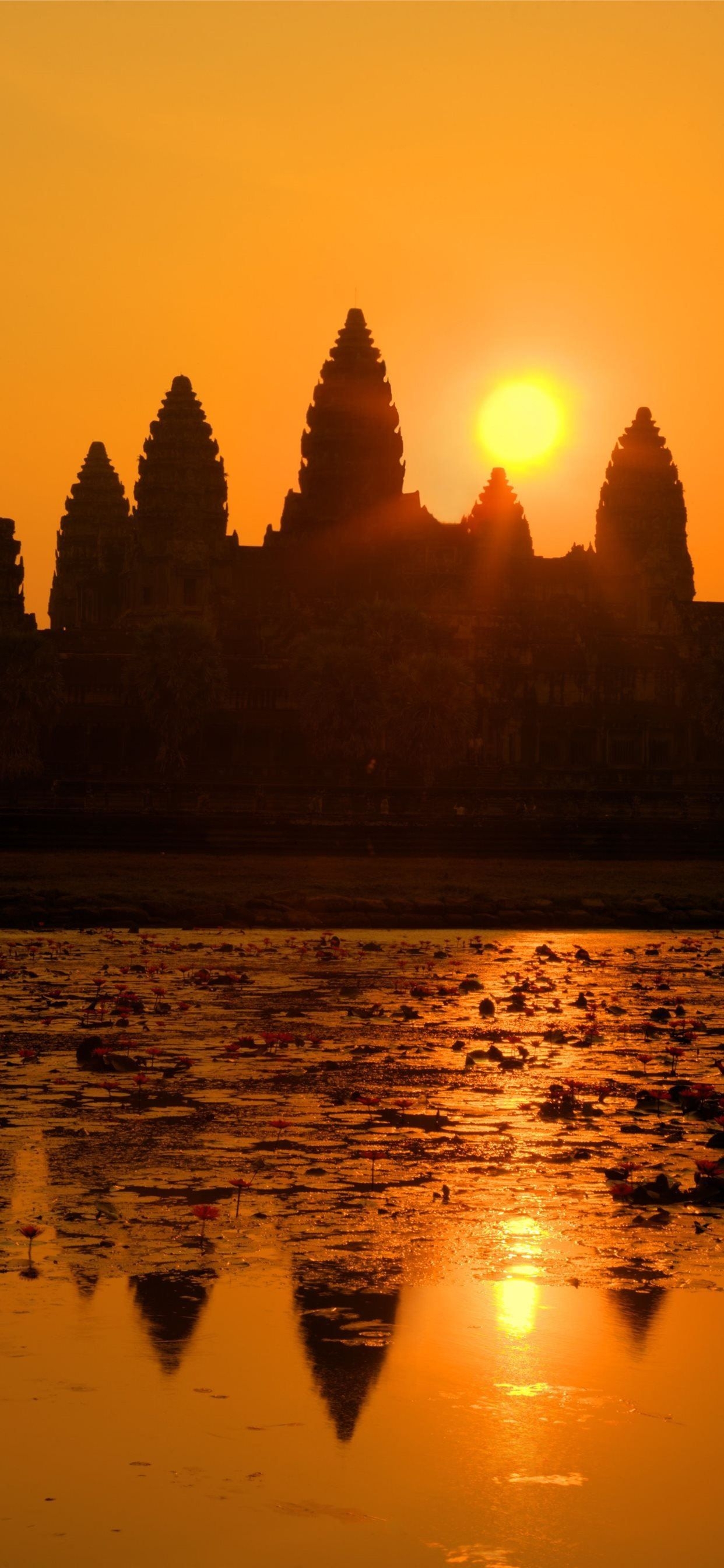 1250x2690 Magic sunset at Angkor Wat Cambodia manga. iPhone 11 Wallpaper Free Download, Phone